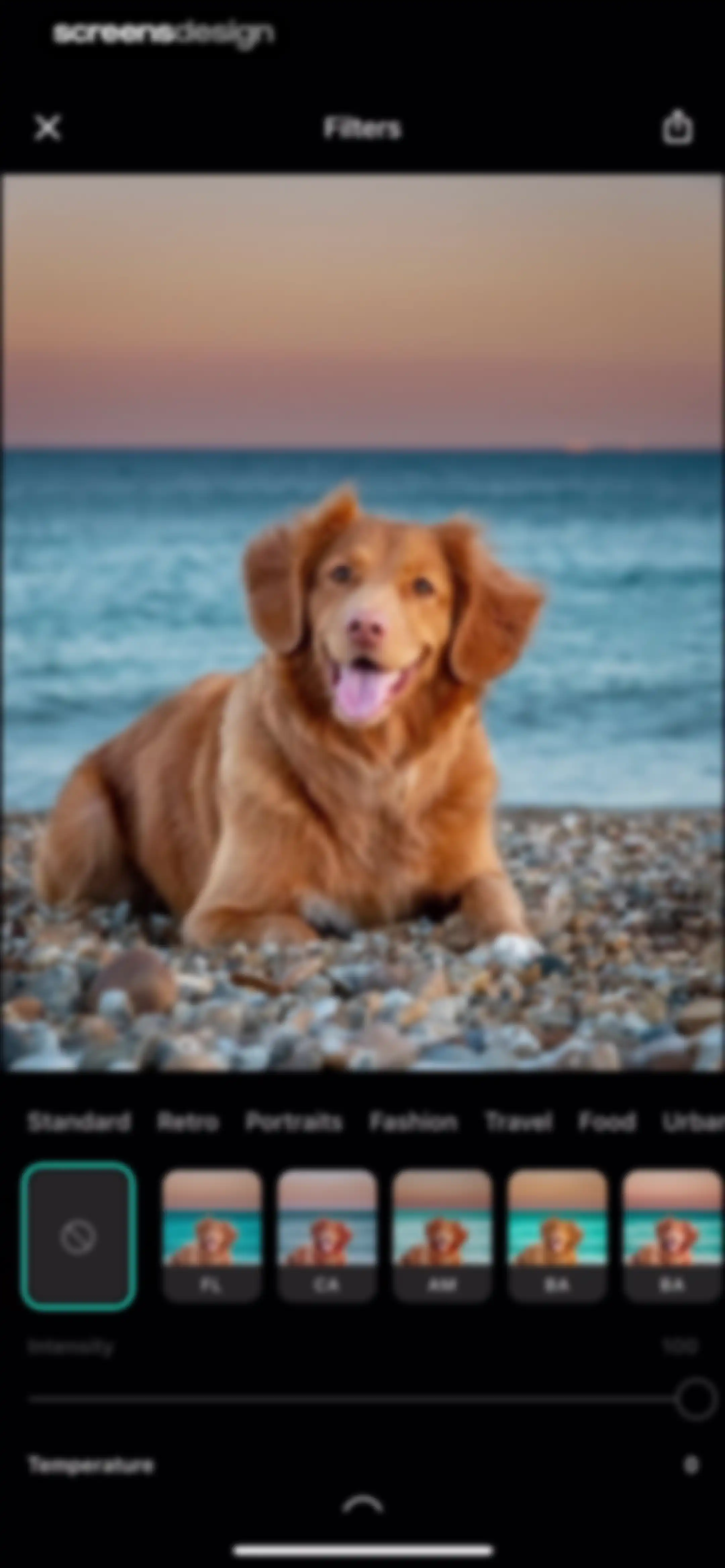 Presets for Lightroom - FLTR screen 65