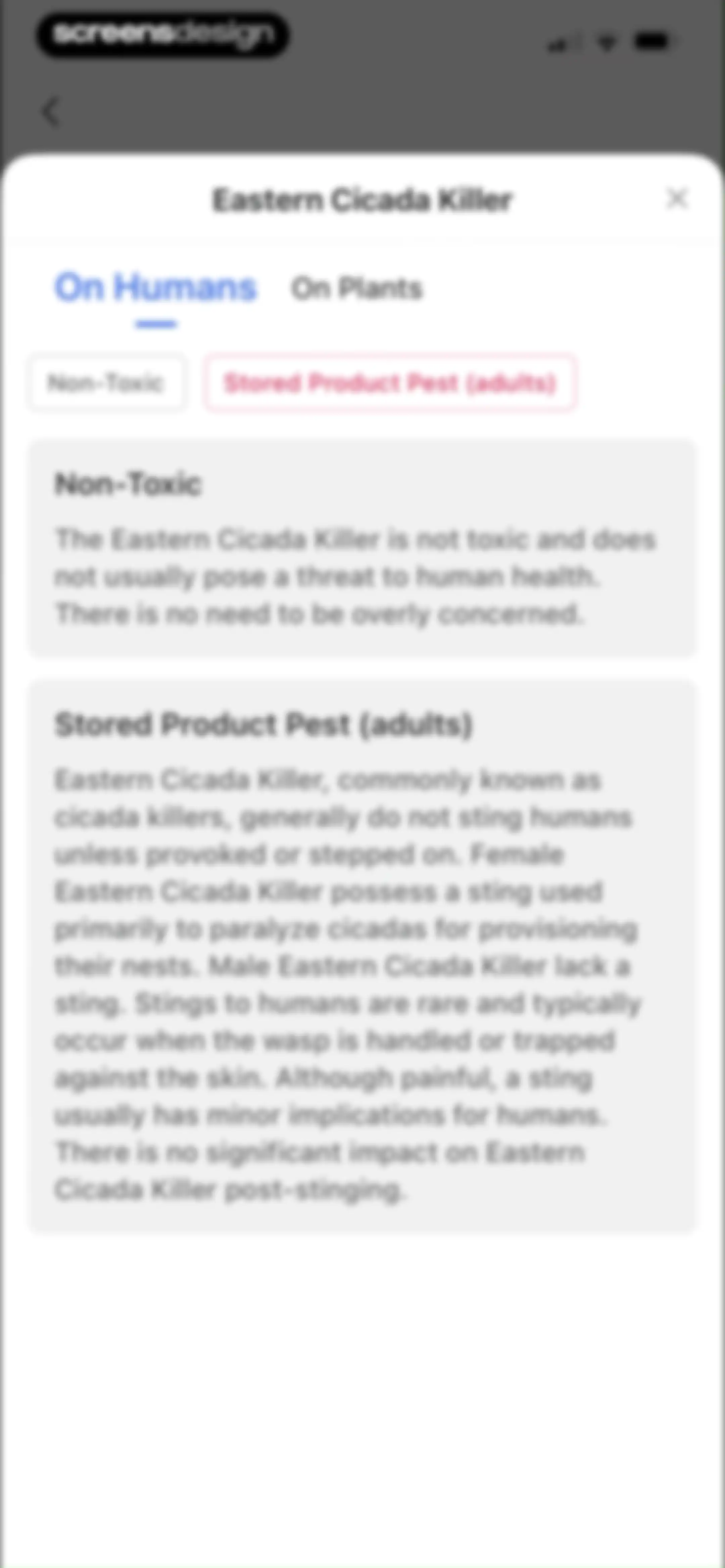 Picture Insect: Bug Identifier screen 29