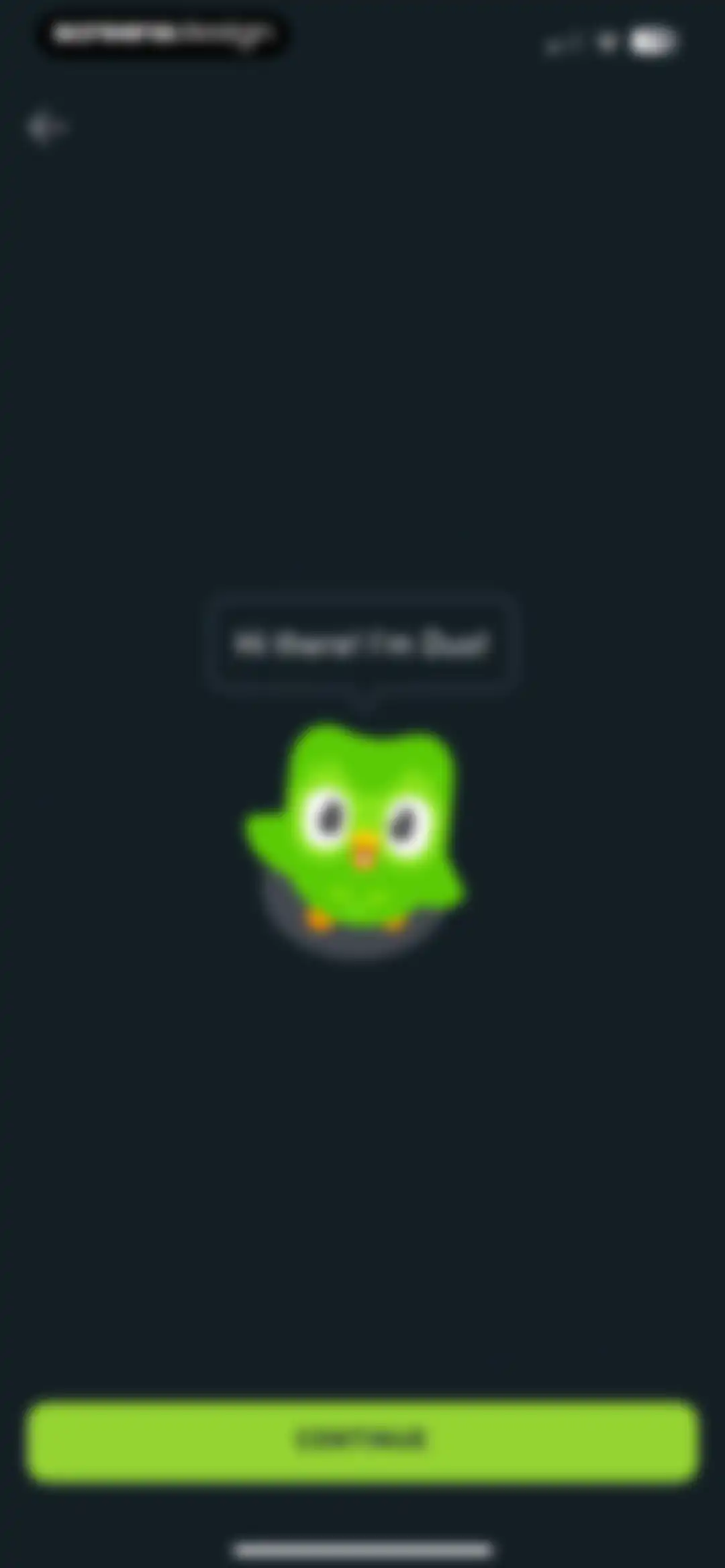 Duolingo: Language Lessons screen 3