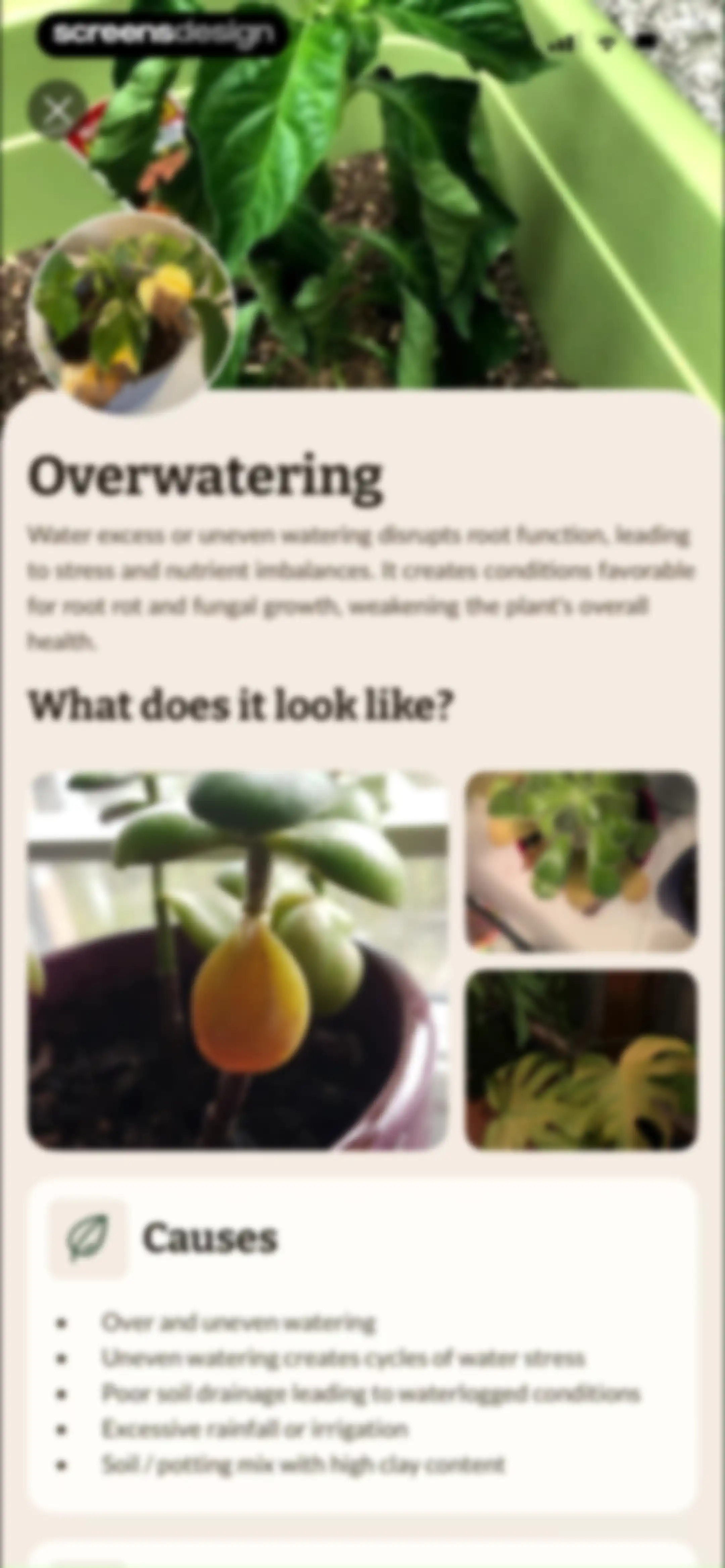 Plant Identification－Plantaria screen 62