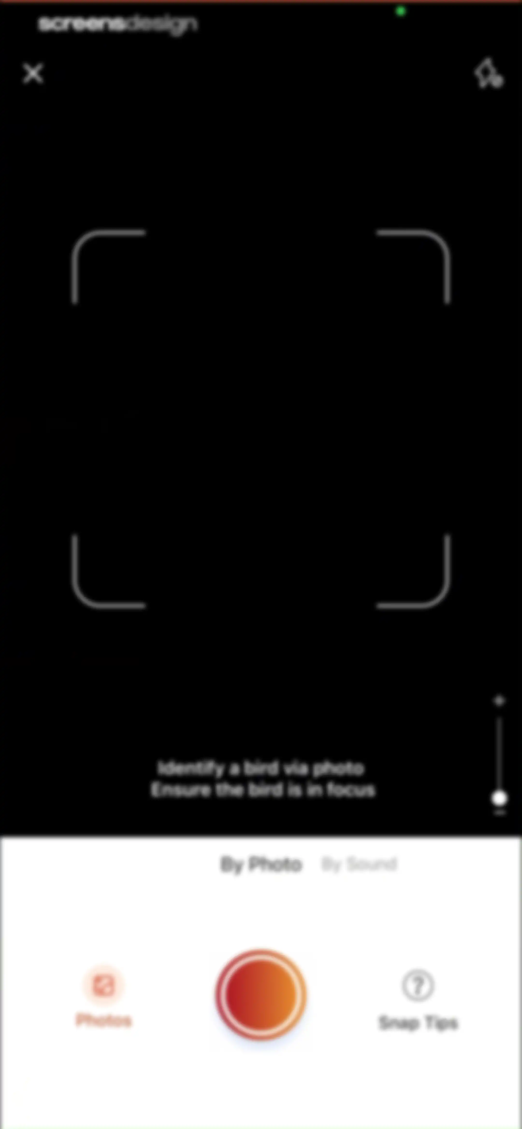 Picture Bird: Bird identifier screen 48