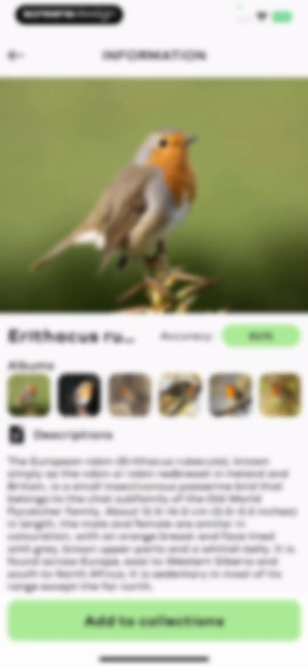Bird Sounds Identifier Call ID screen 17
