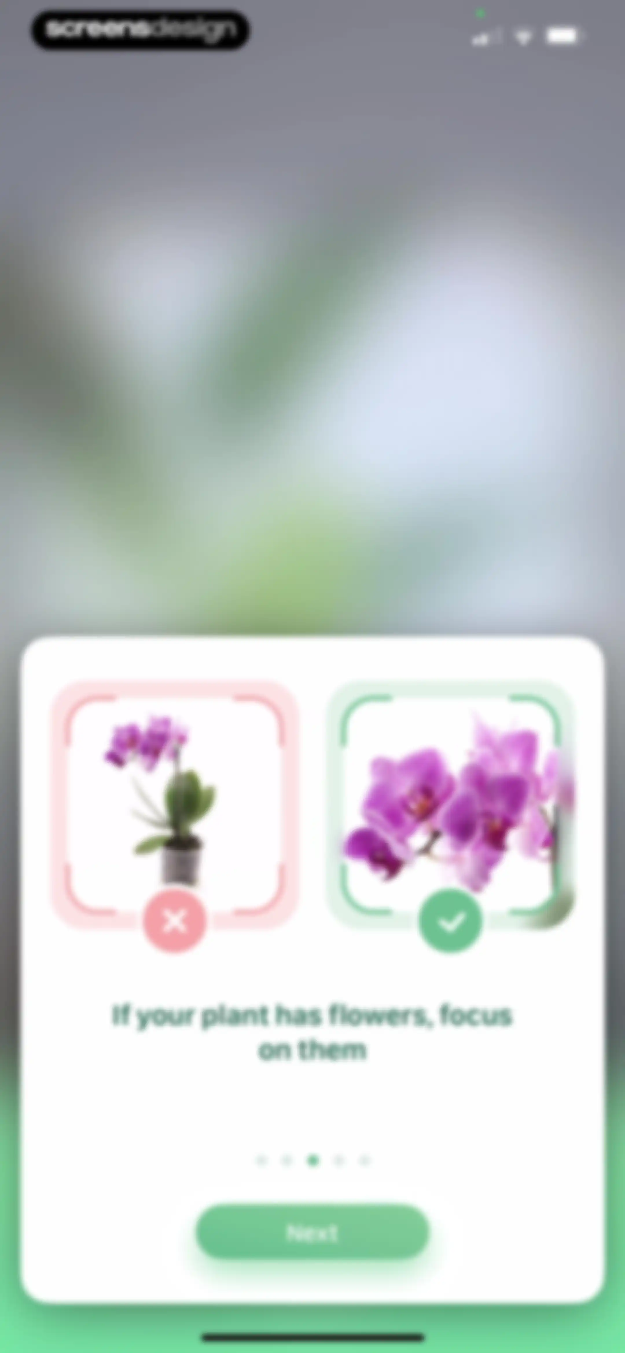 Blossom - Plant Care Guide screen 95