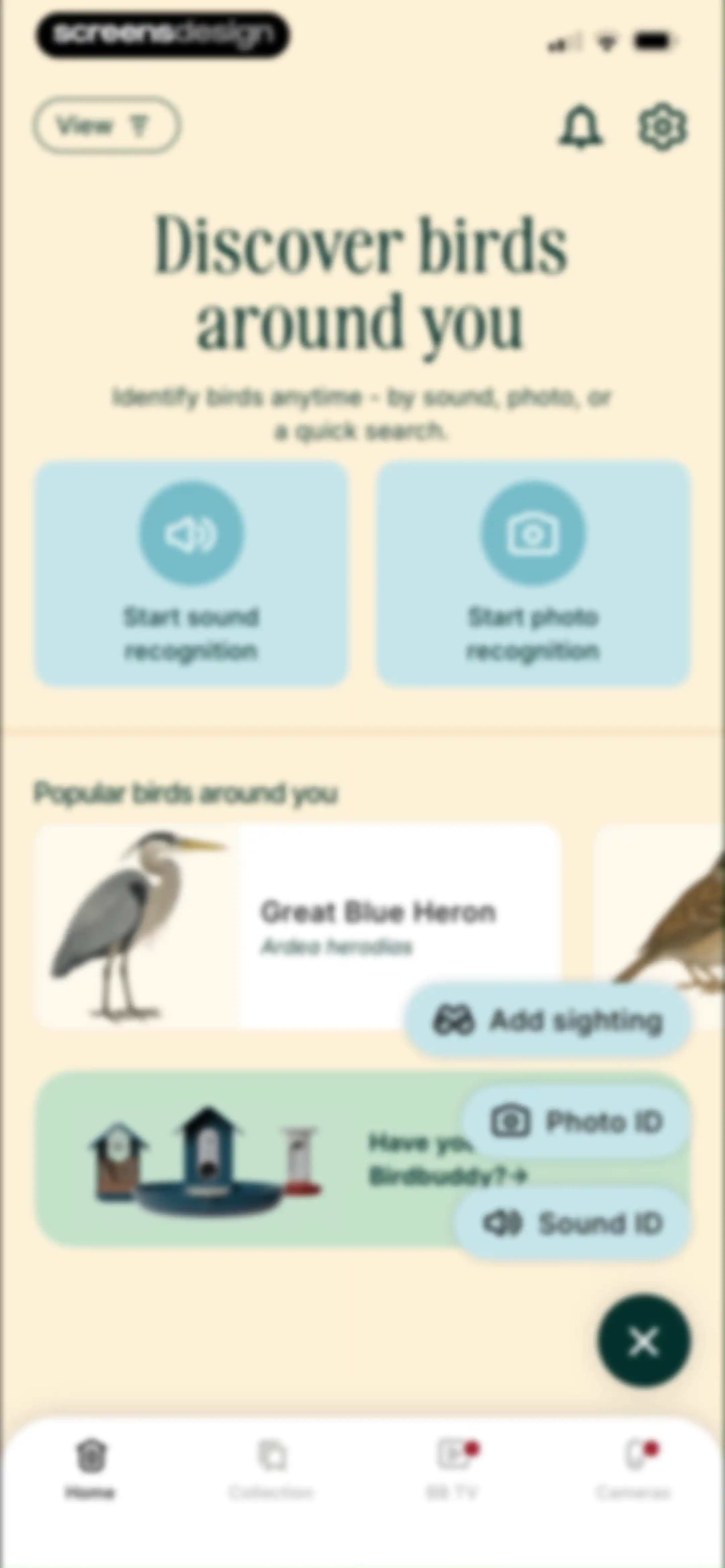 Birdbuddy: ID & Collect Birds screen 64
