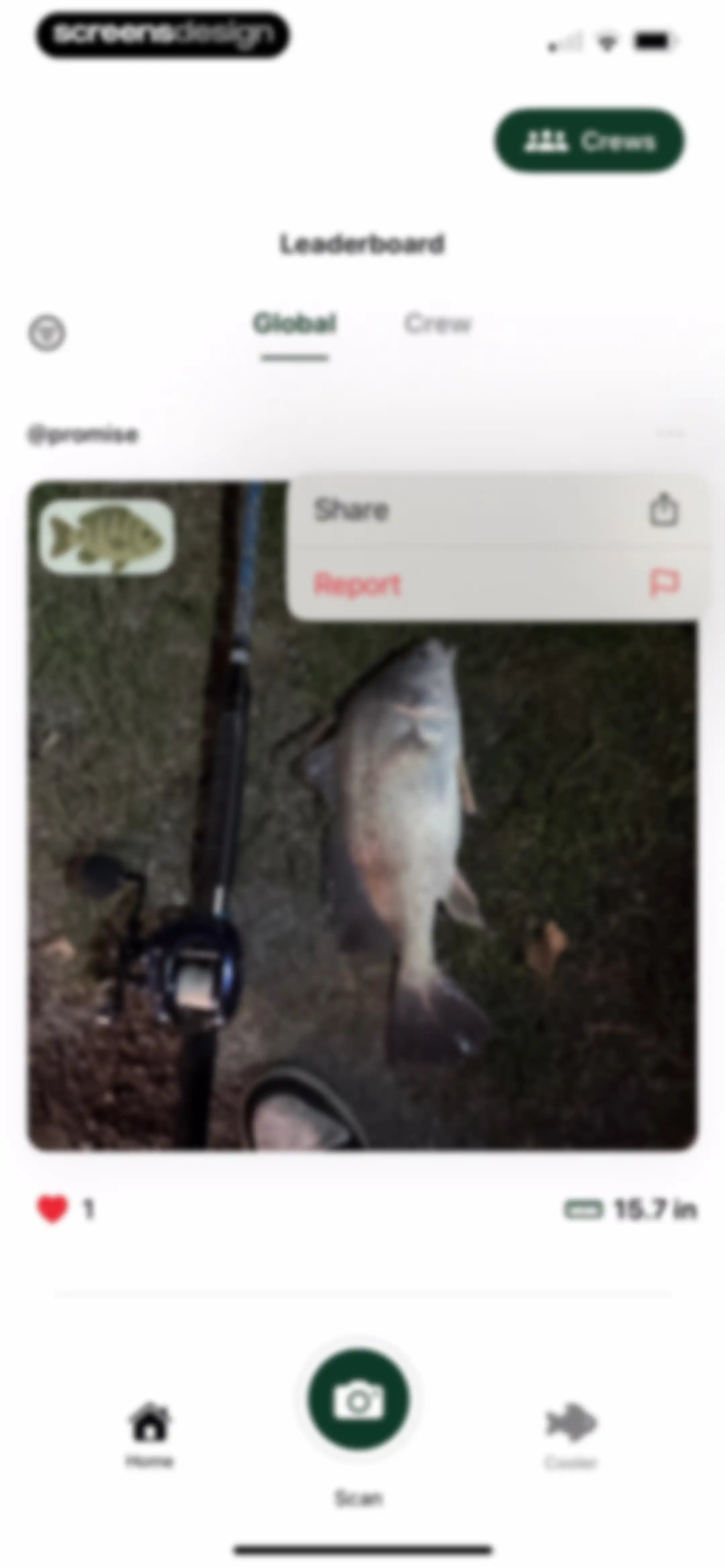 Catchr: Fish Identifier screen 49