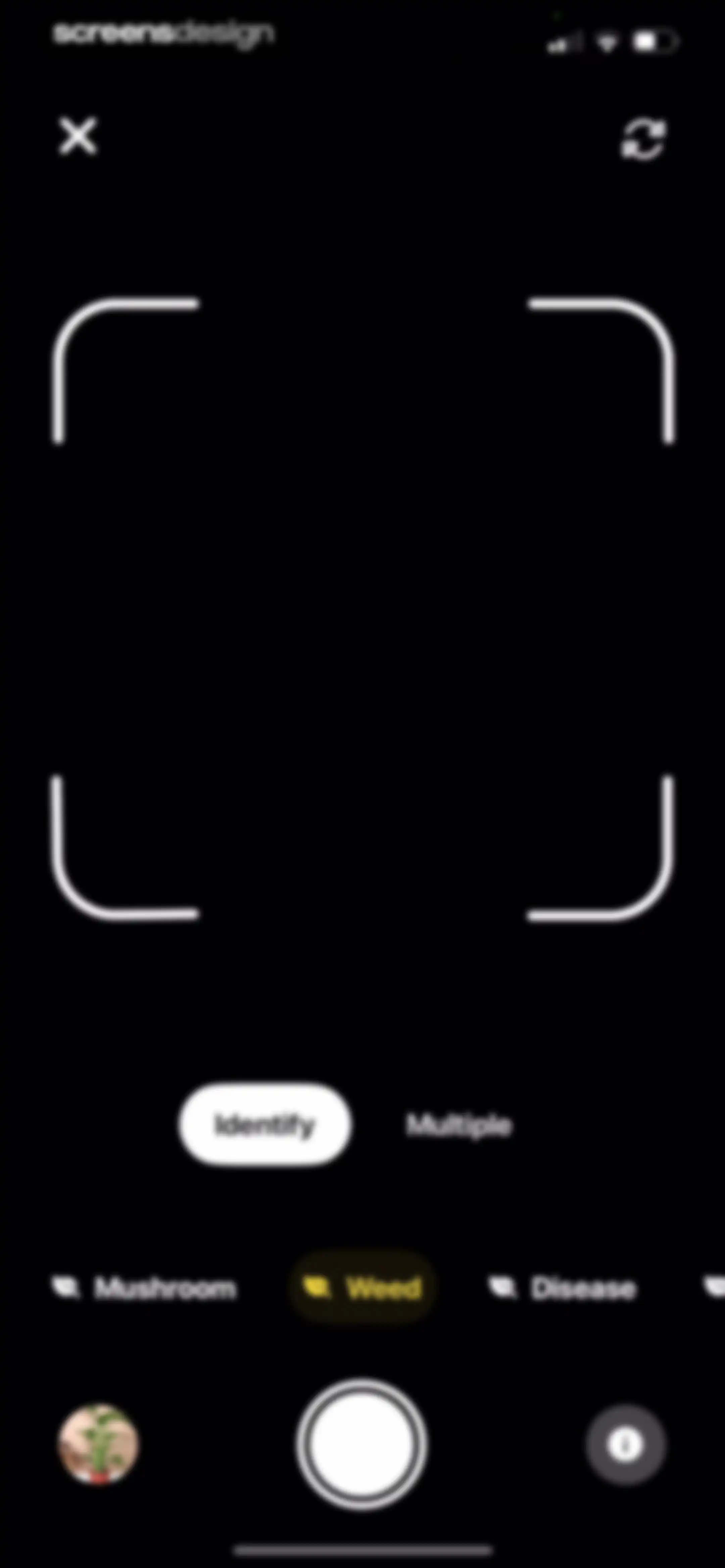 Plant App: Plant Identifier screen 77