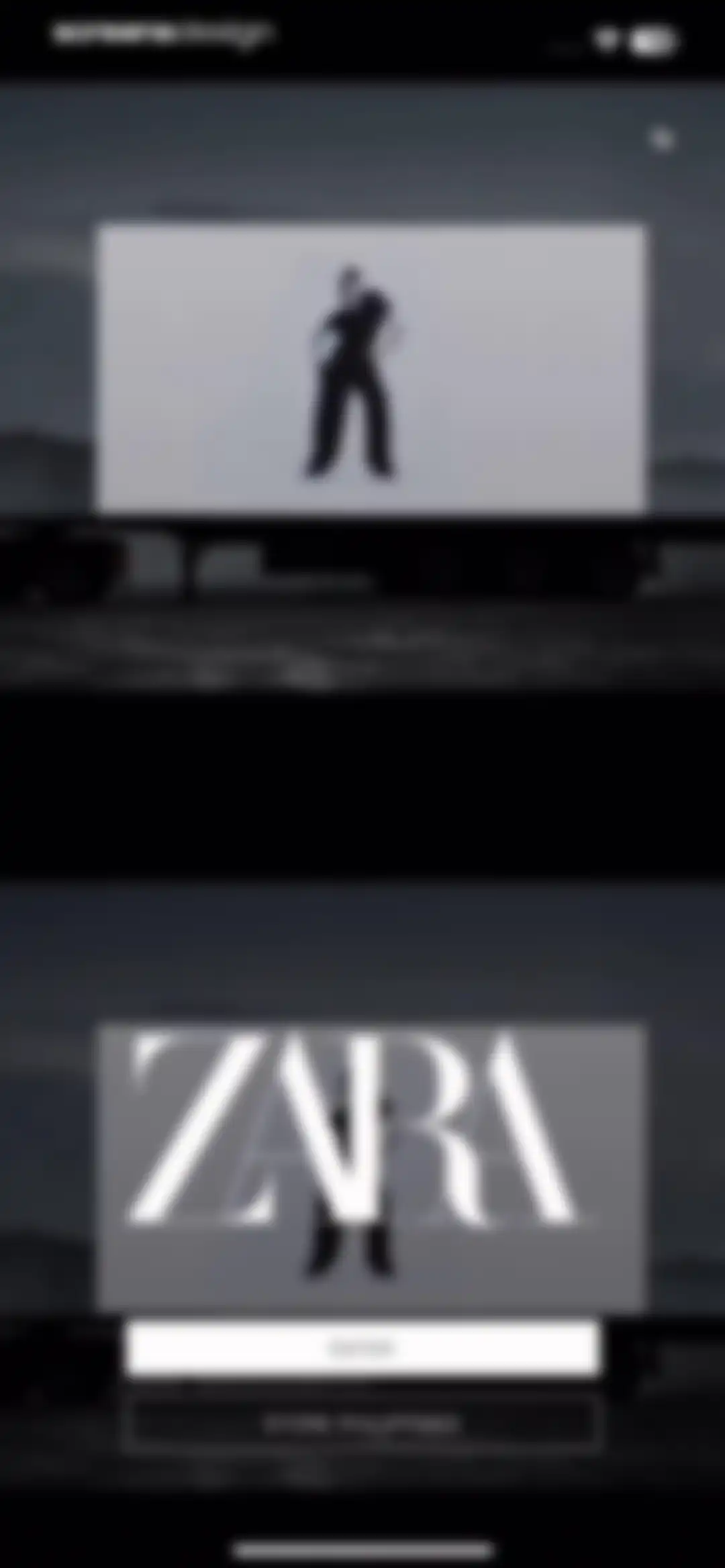 ZARA screen 2