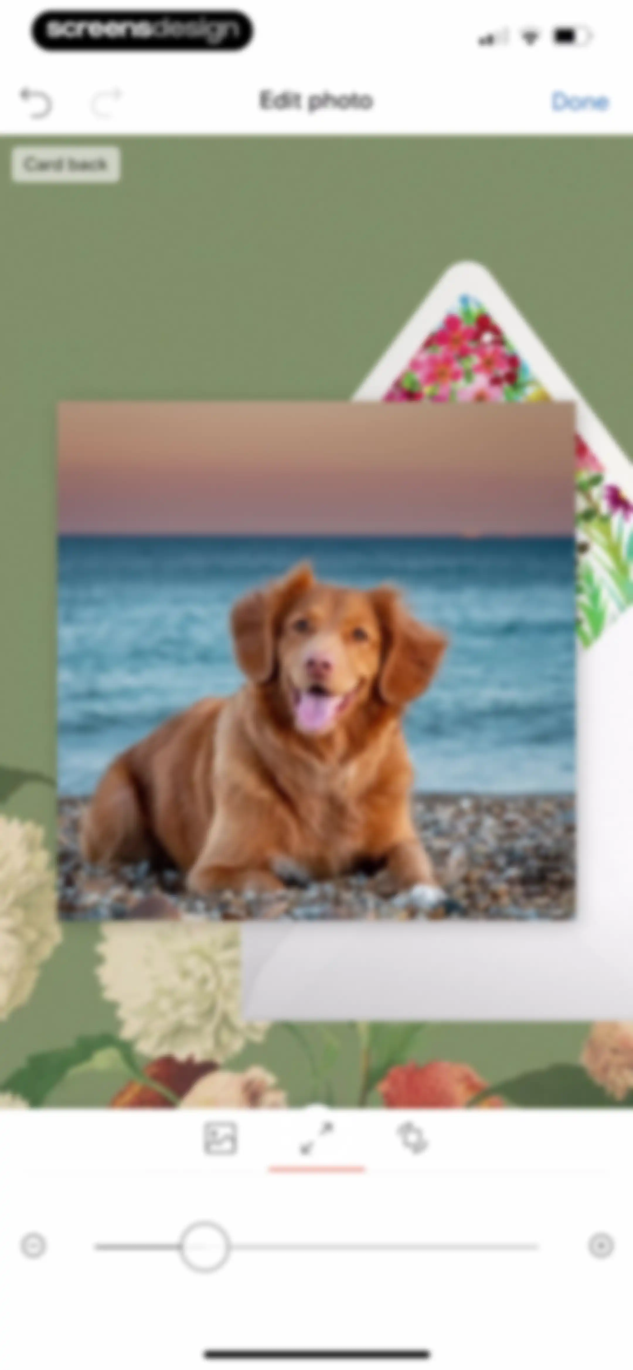Paperless Post: Invitations screen 38