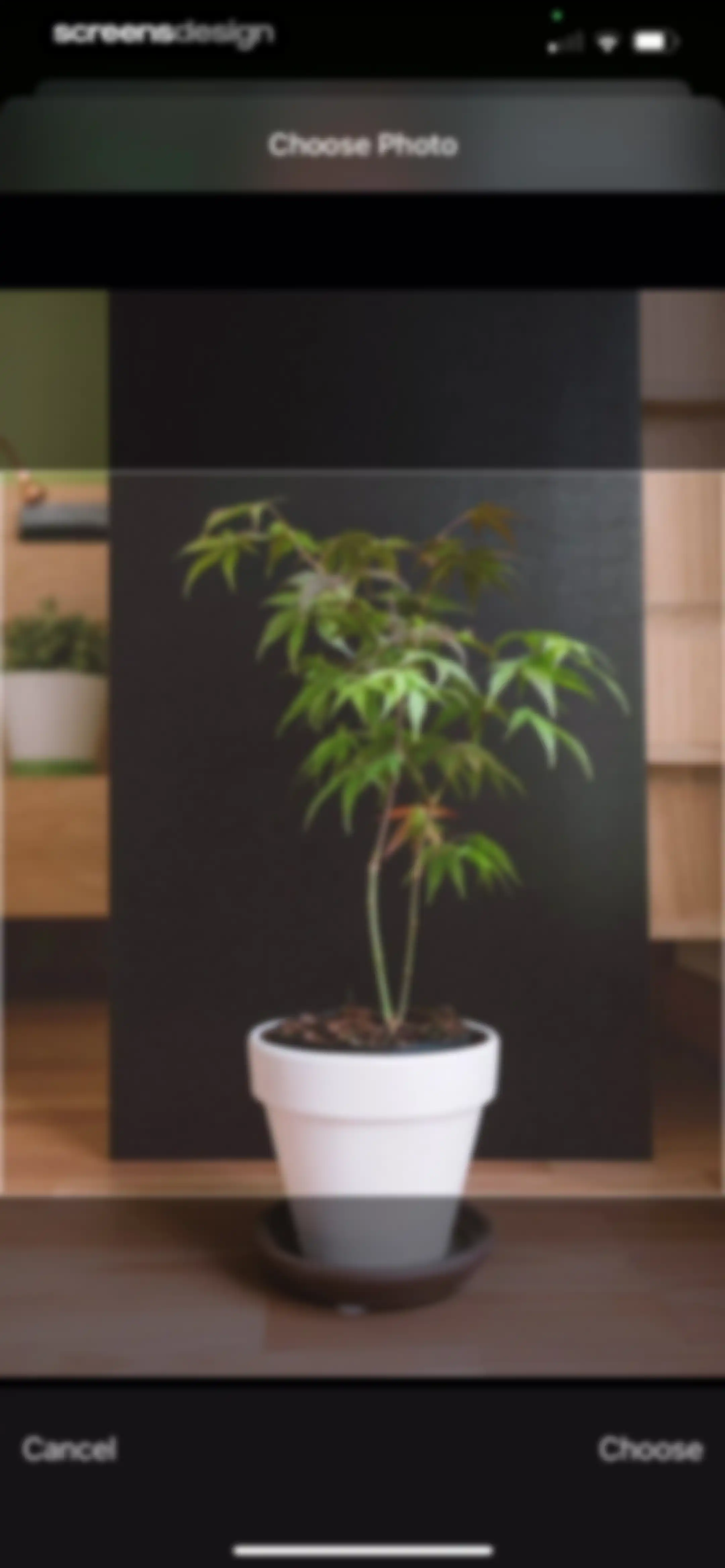Plant Identifier & Care App screen 116