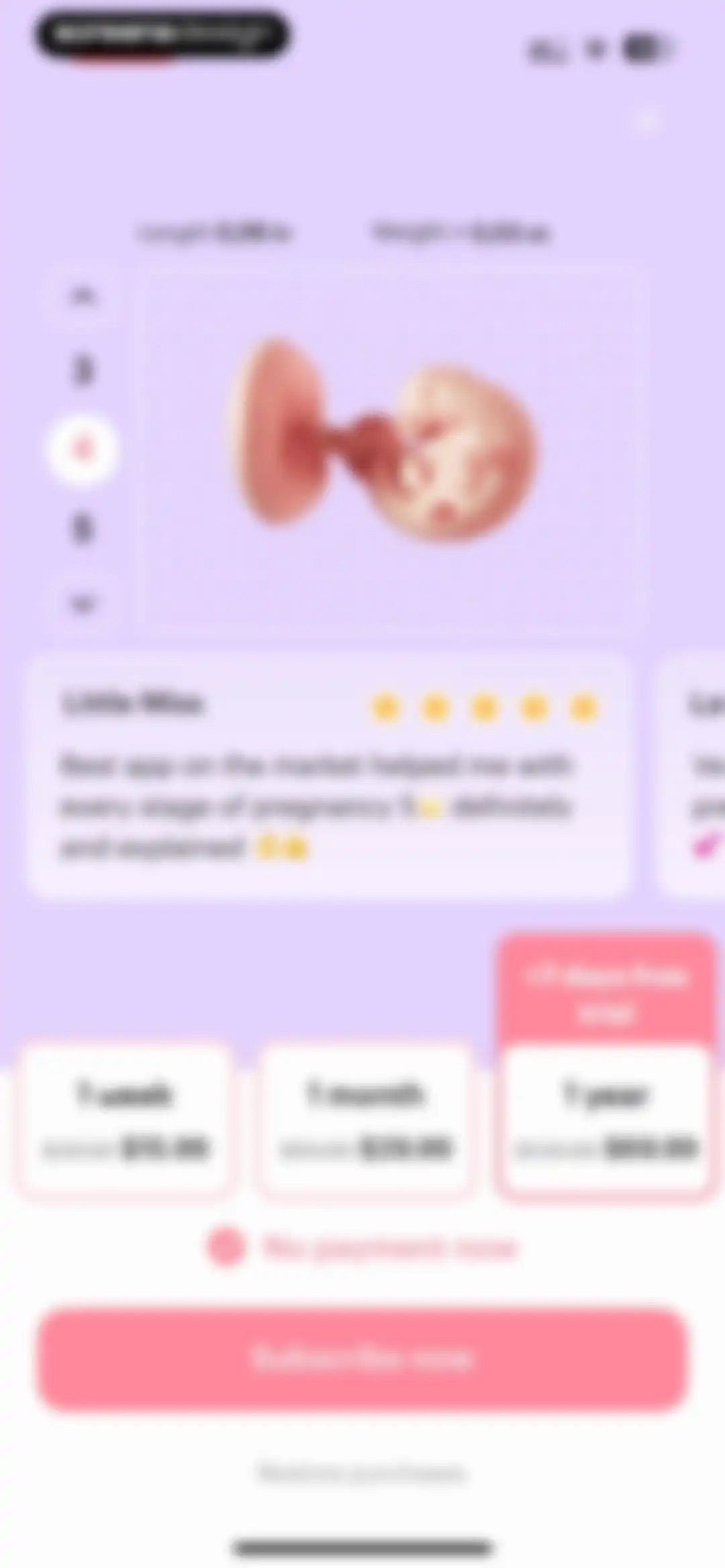 amma: Pregnancy & Baby Tracker screen 39