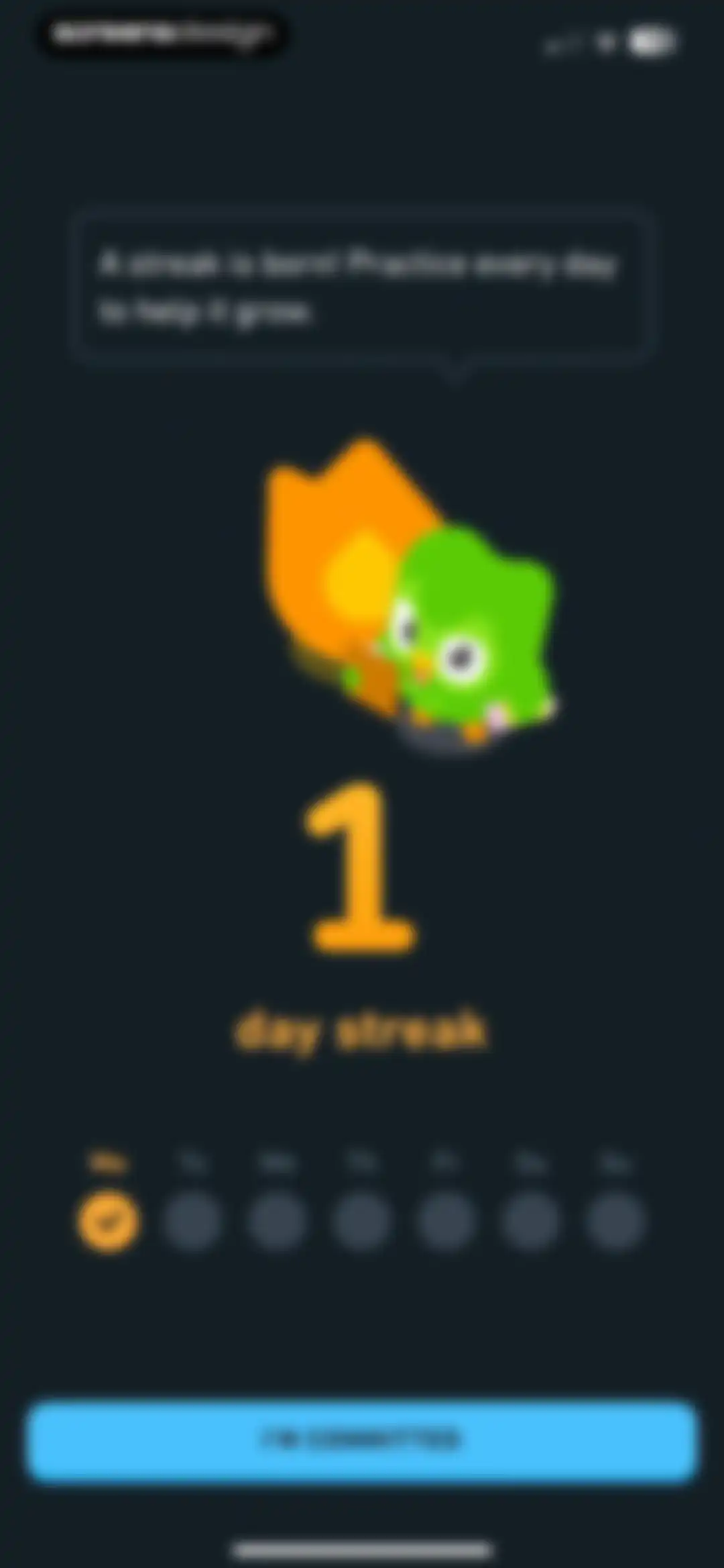 Duolingo: Language Lessons screen 30