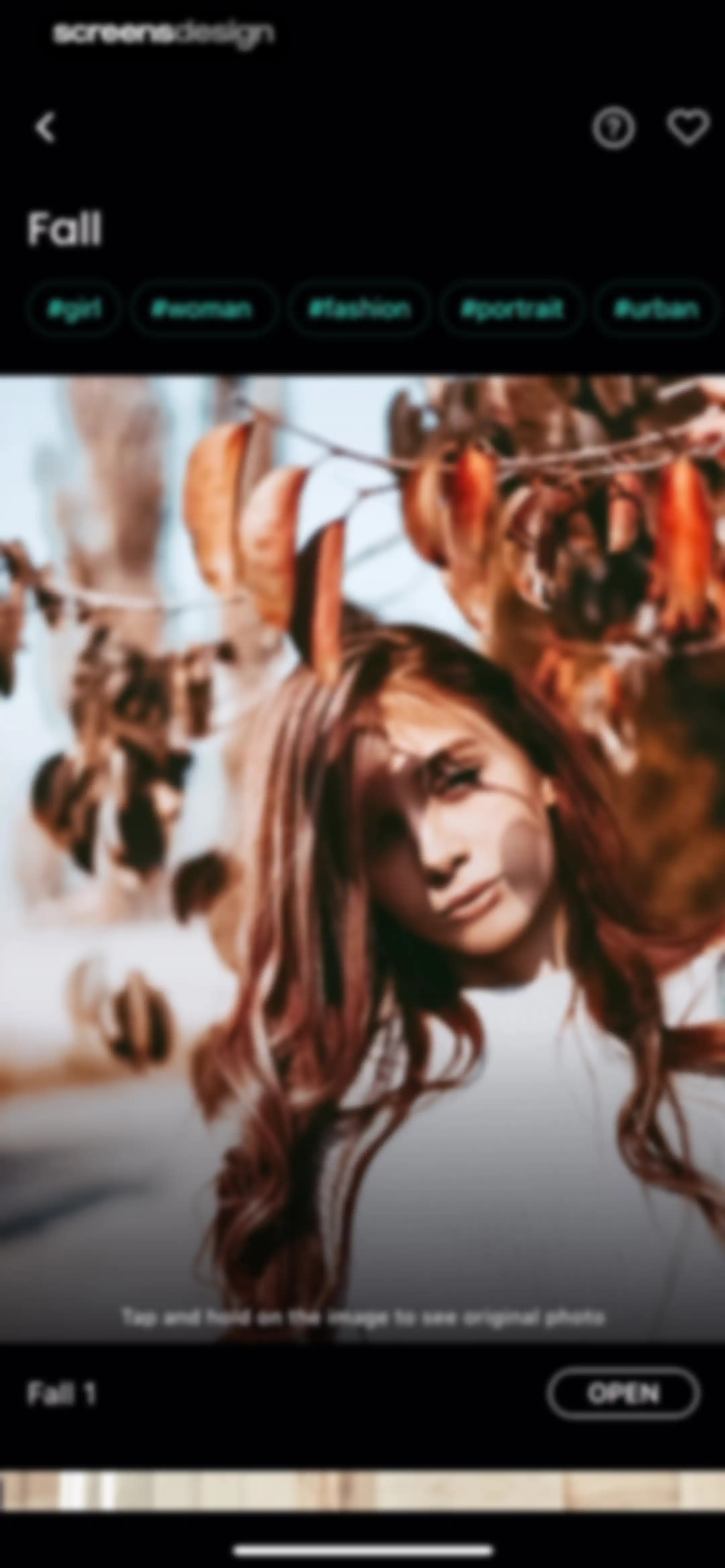 Presets for Lightroom - FLTR screen 35