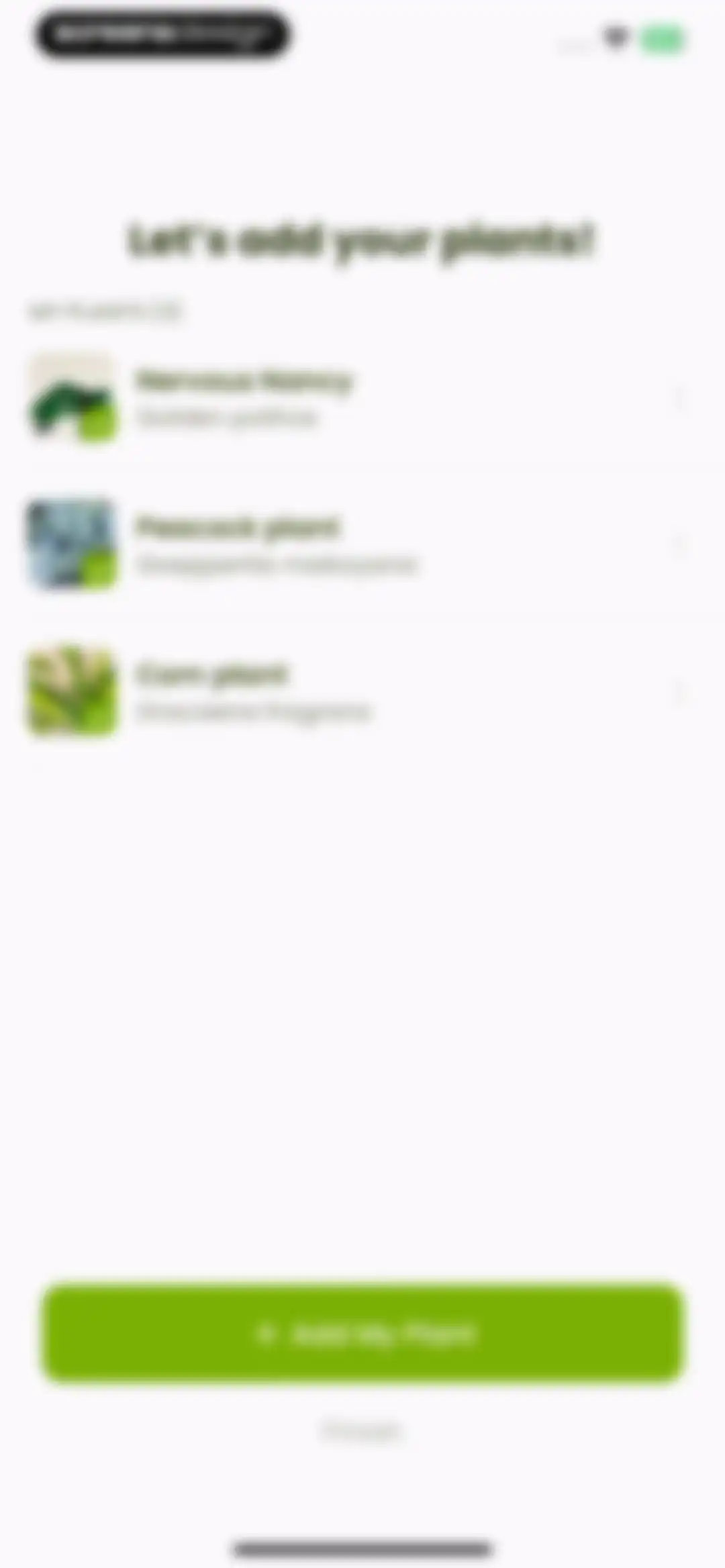 Plant Identifier & Care: Ficus screen 61