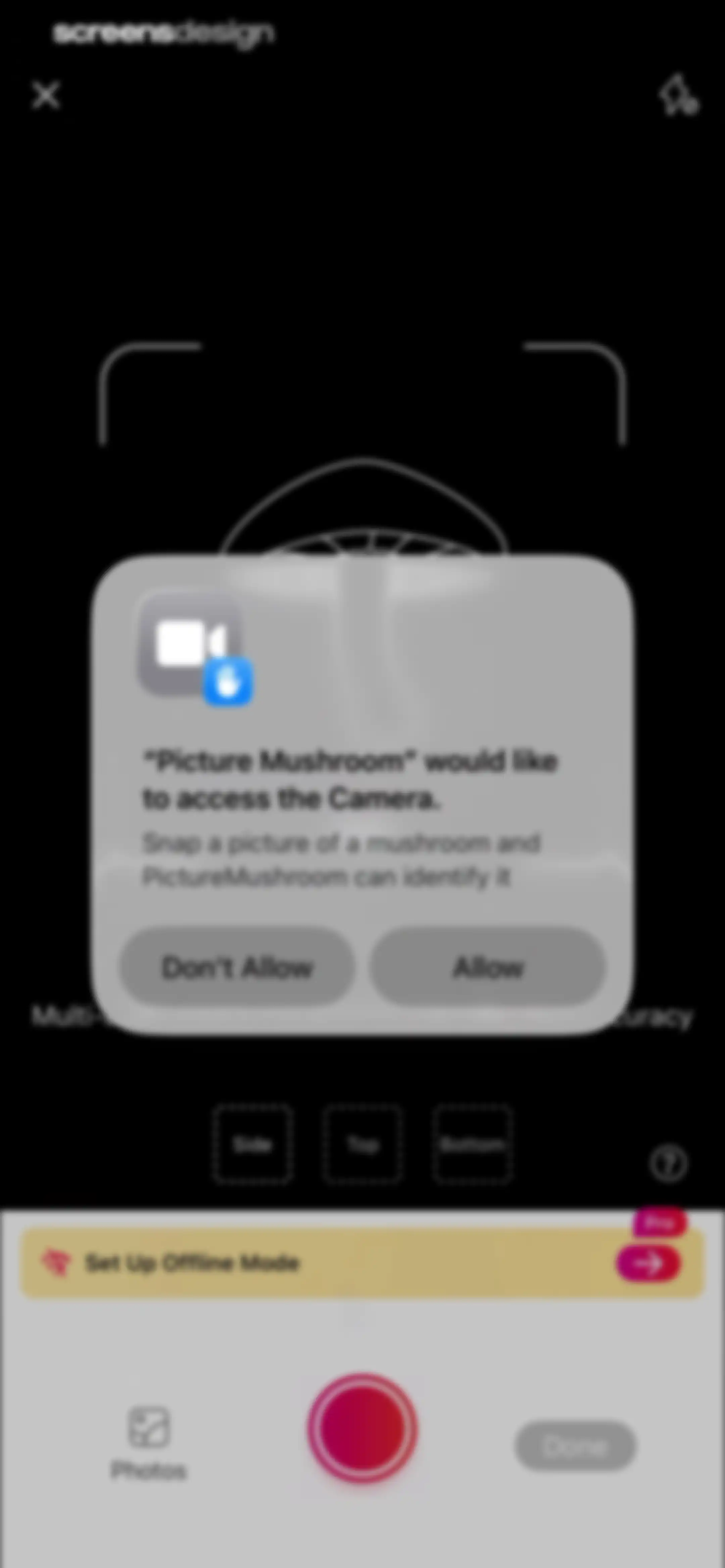 Picture Mushroom: Identifier screen 19