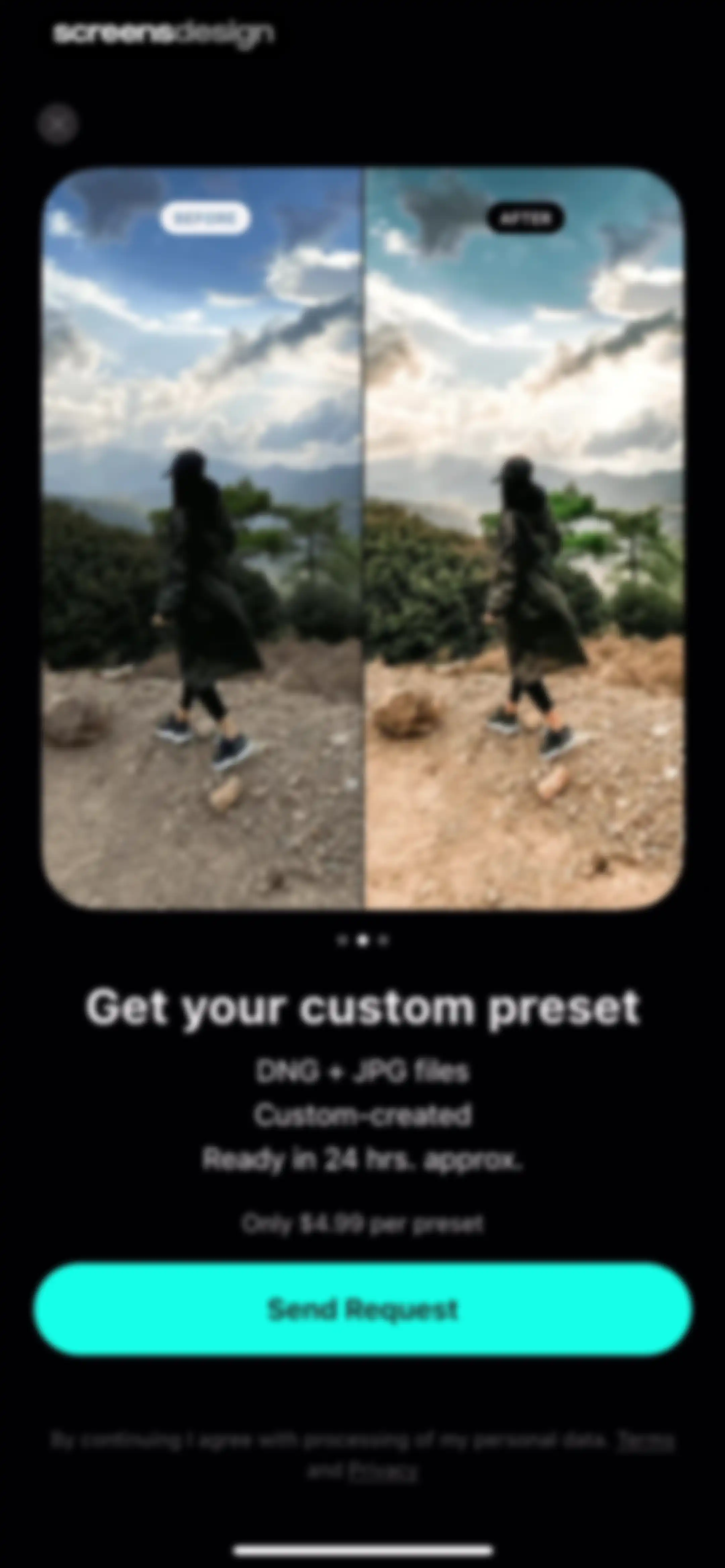 Presets for Lightroom - FLTR screen 81