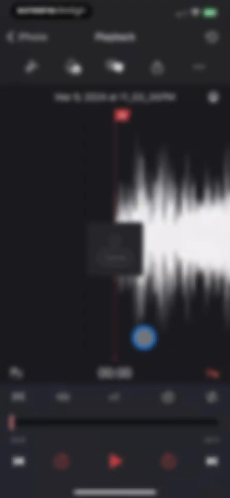 Voice Recorder & Notes Pro screen 25