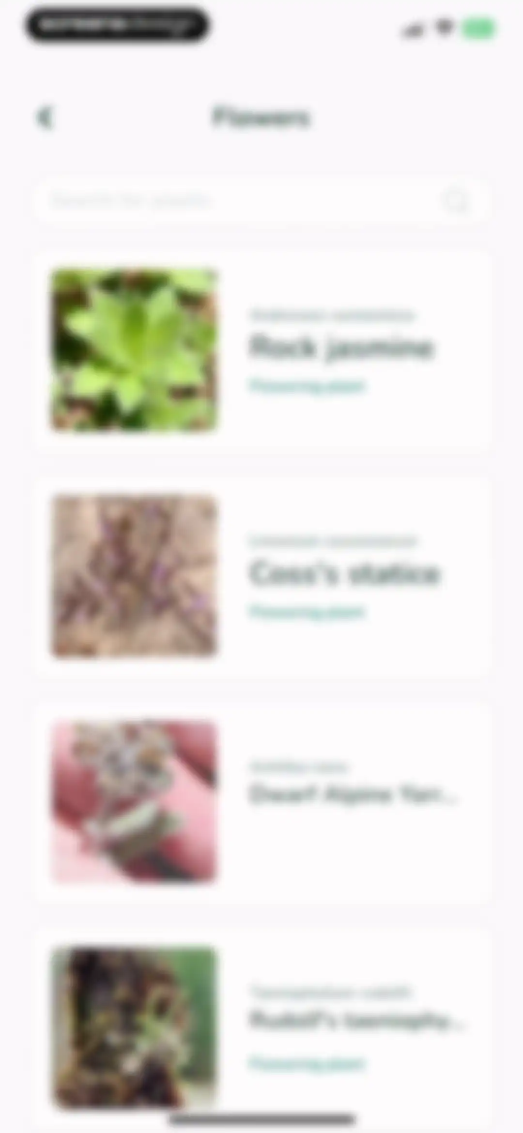 Plantify: AI Plant Identifier screen 21