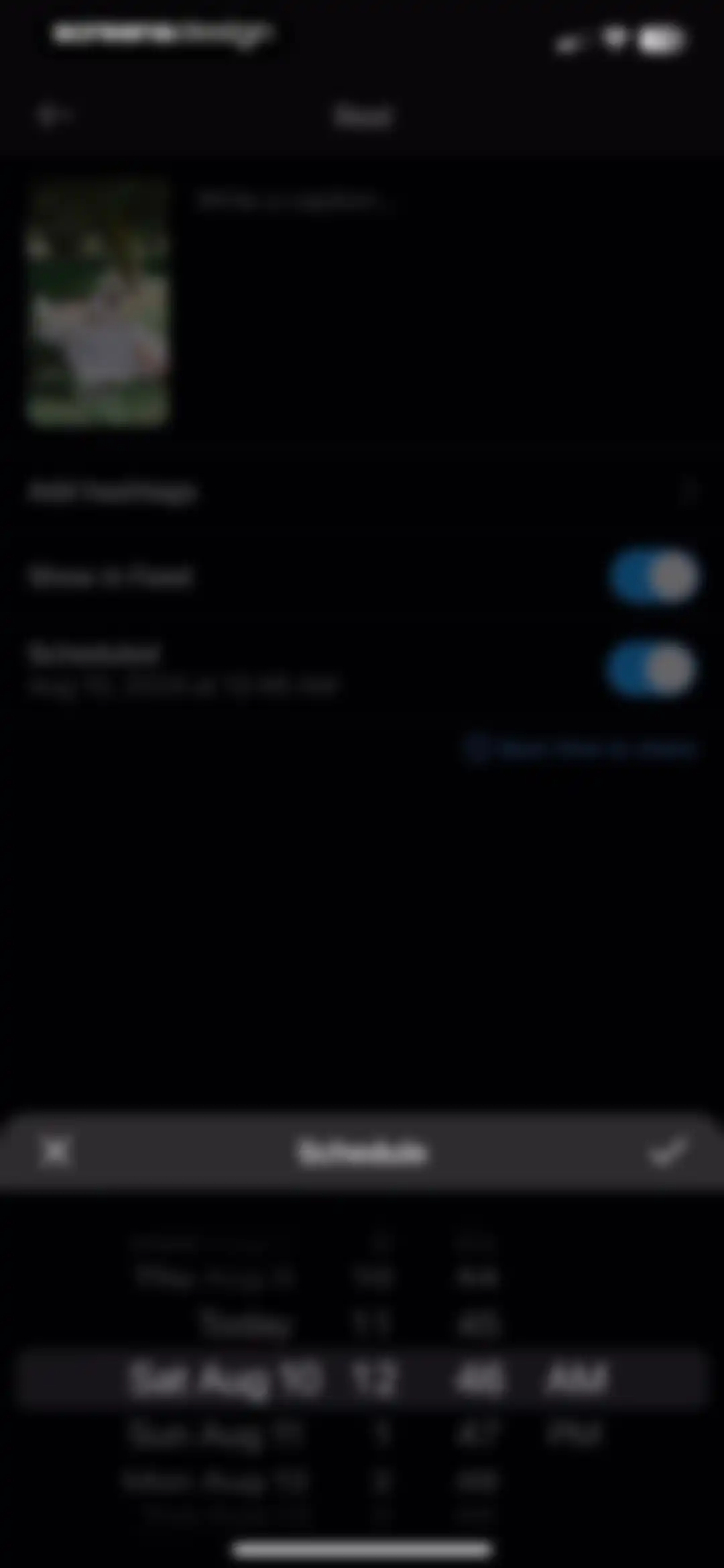 My Feed・Grid Preview & Planner screen 46