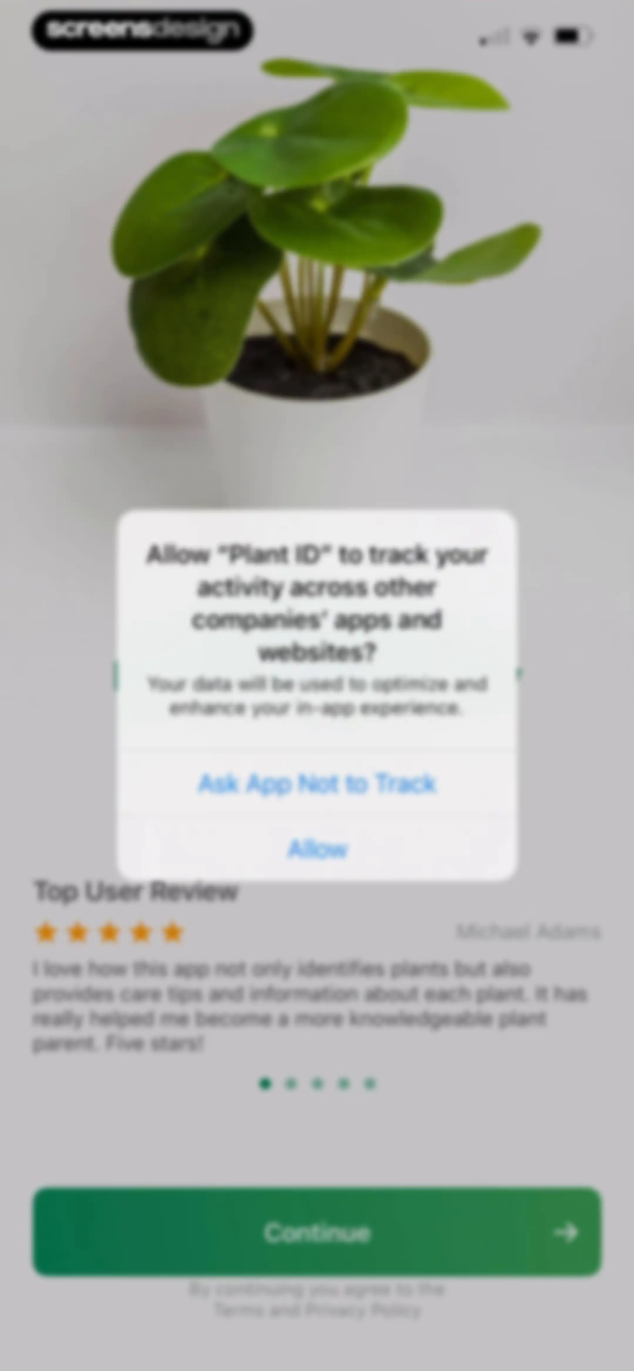 Identify My Plant Now screen 3