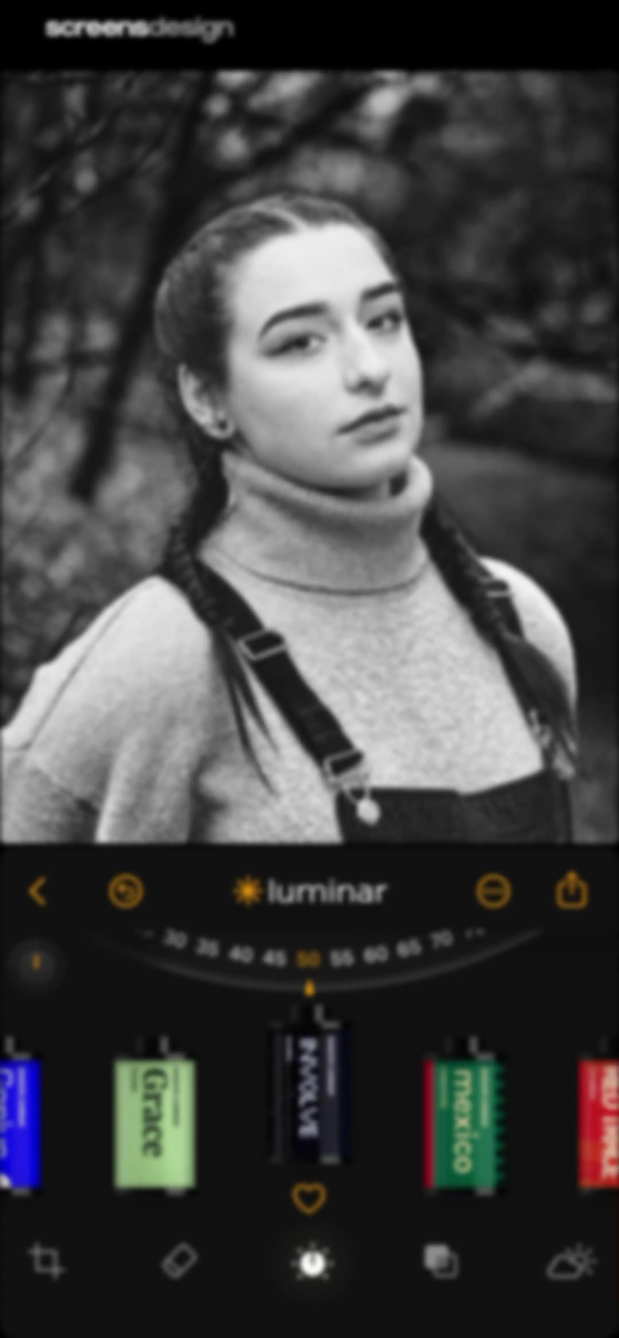 Luminar: Image Editor&Enhancer screen 35