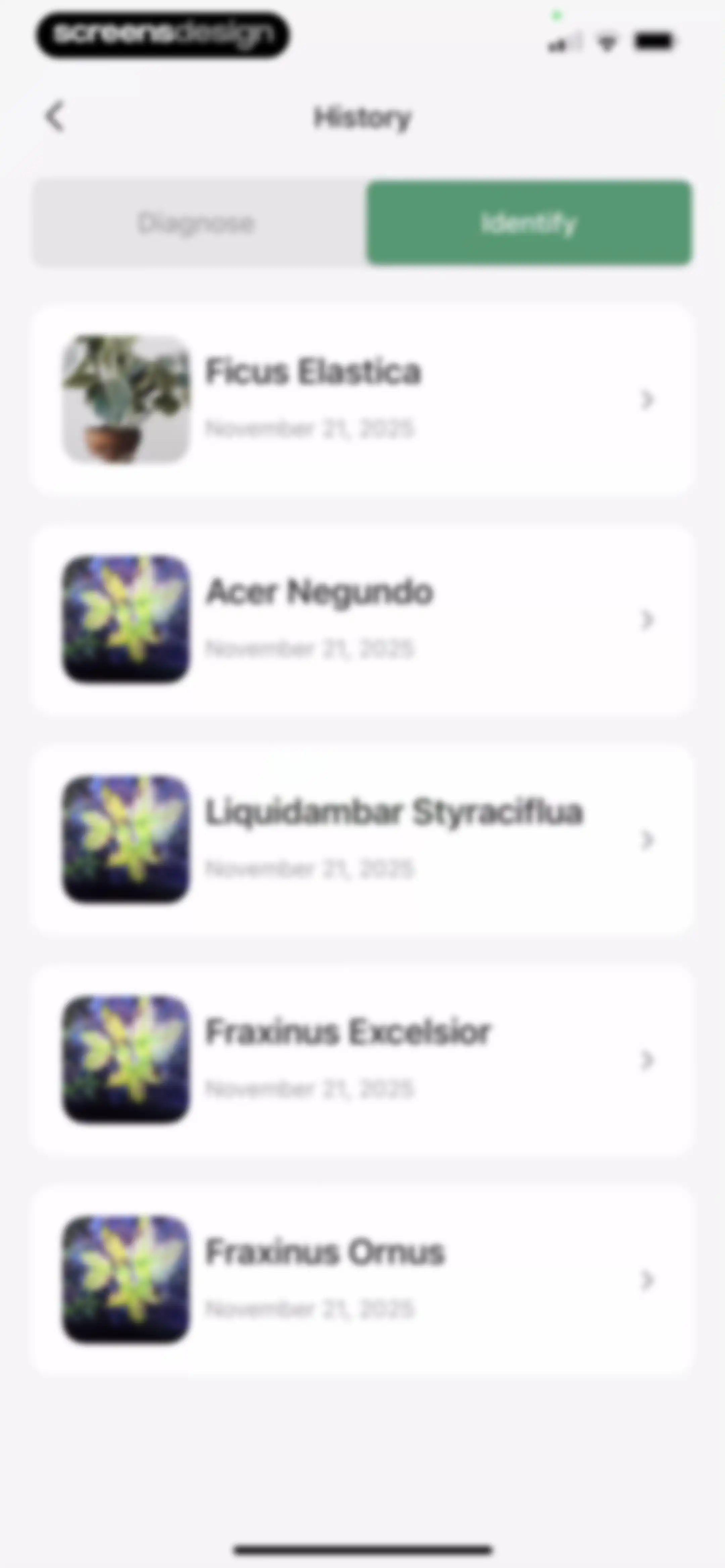 Verde Finder : identify plants screen 51