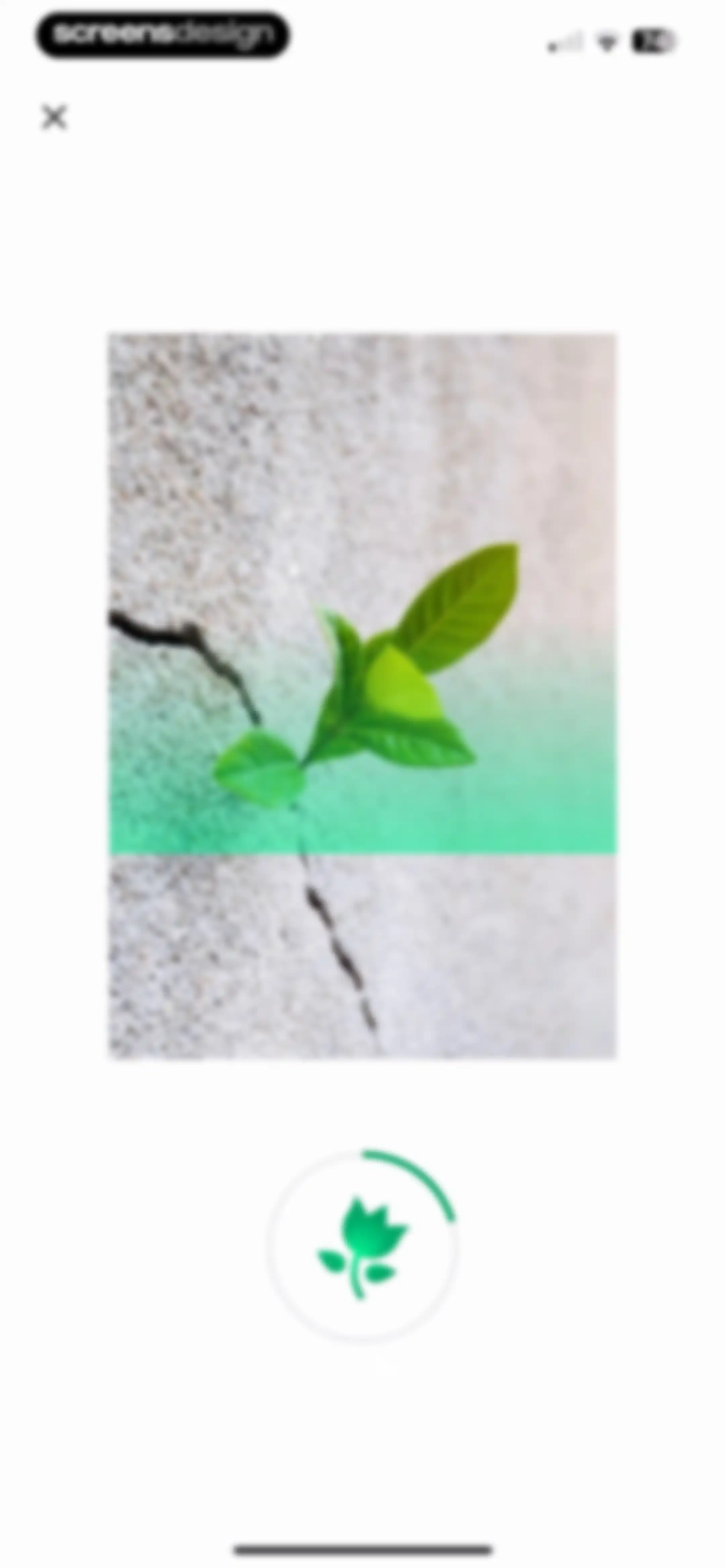 PictureThis - Plant Identifier screen 30