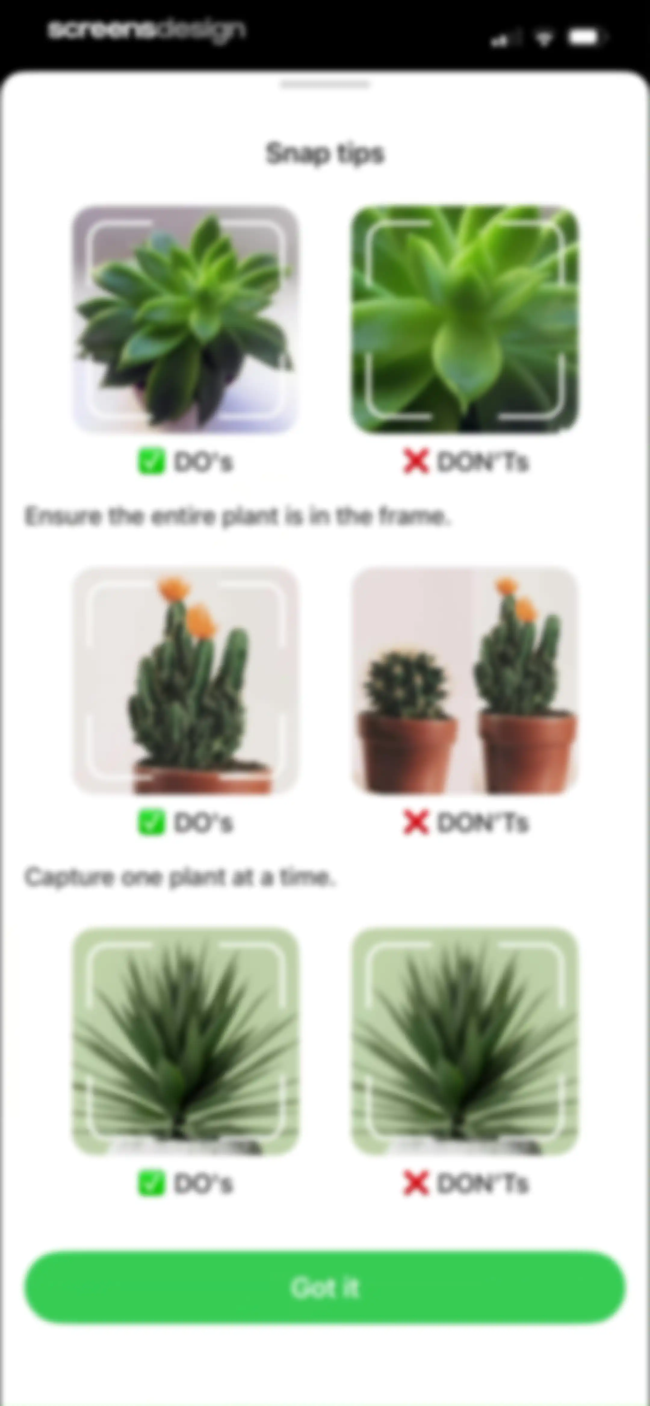 Plant Identifier & Plant Care. screen 27