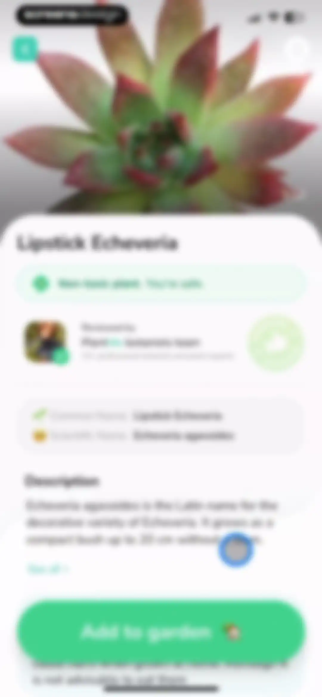 Plant Identifier - PlantMe screen 36