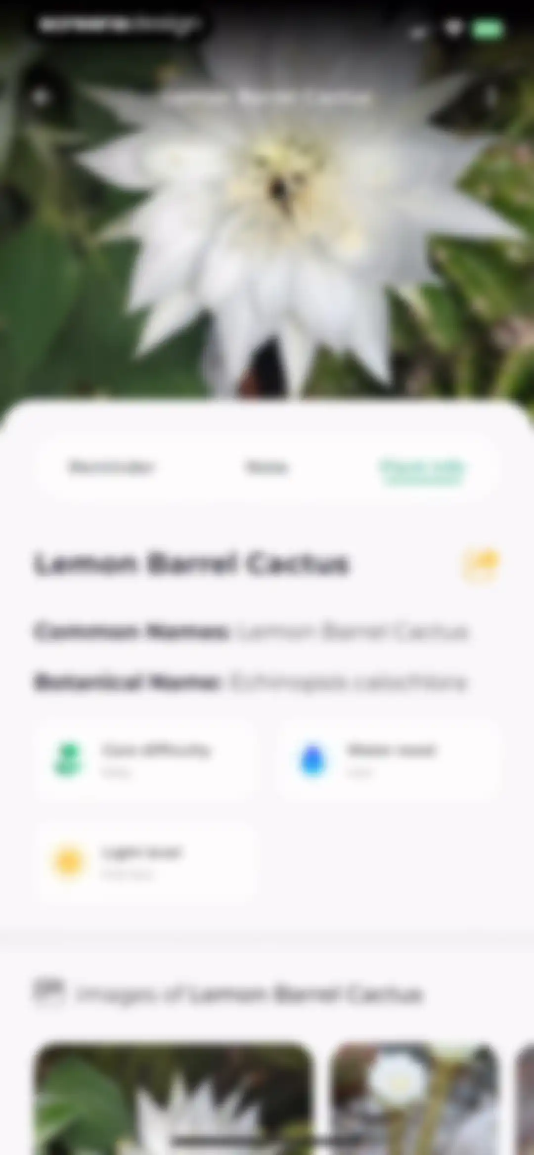 Plant Identifier: LeafSnap screen 58