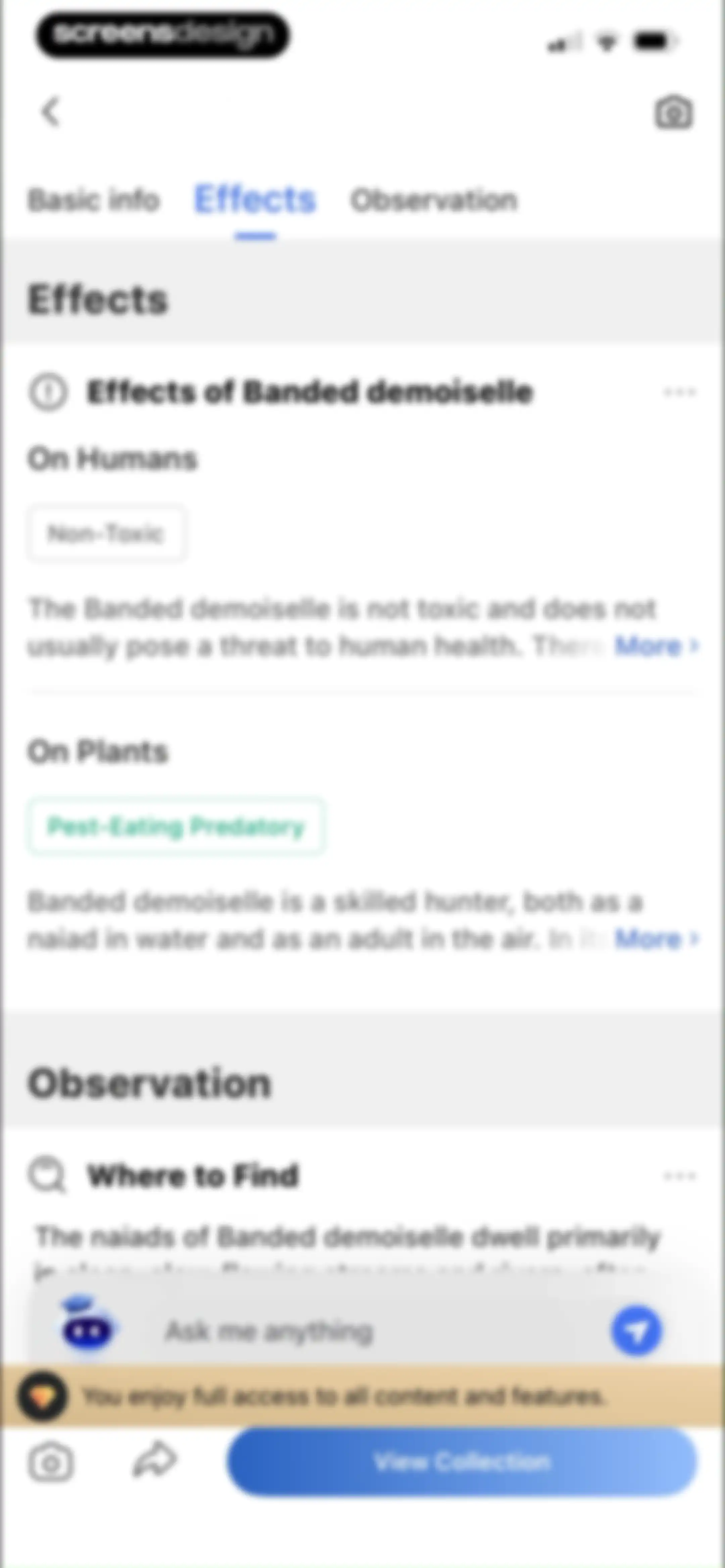 Picture Insect: Bug Identifier screen 95