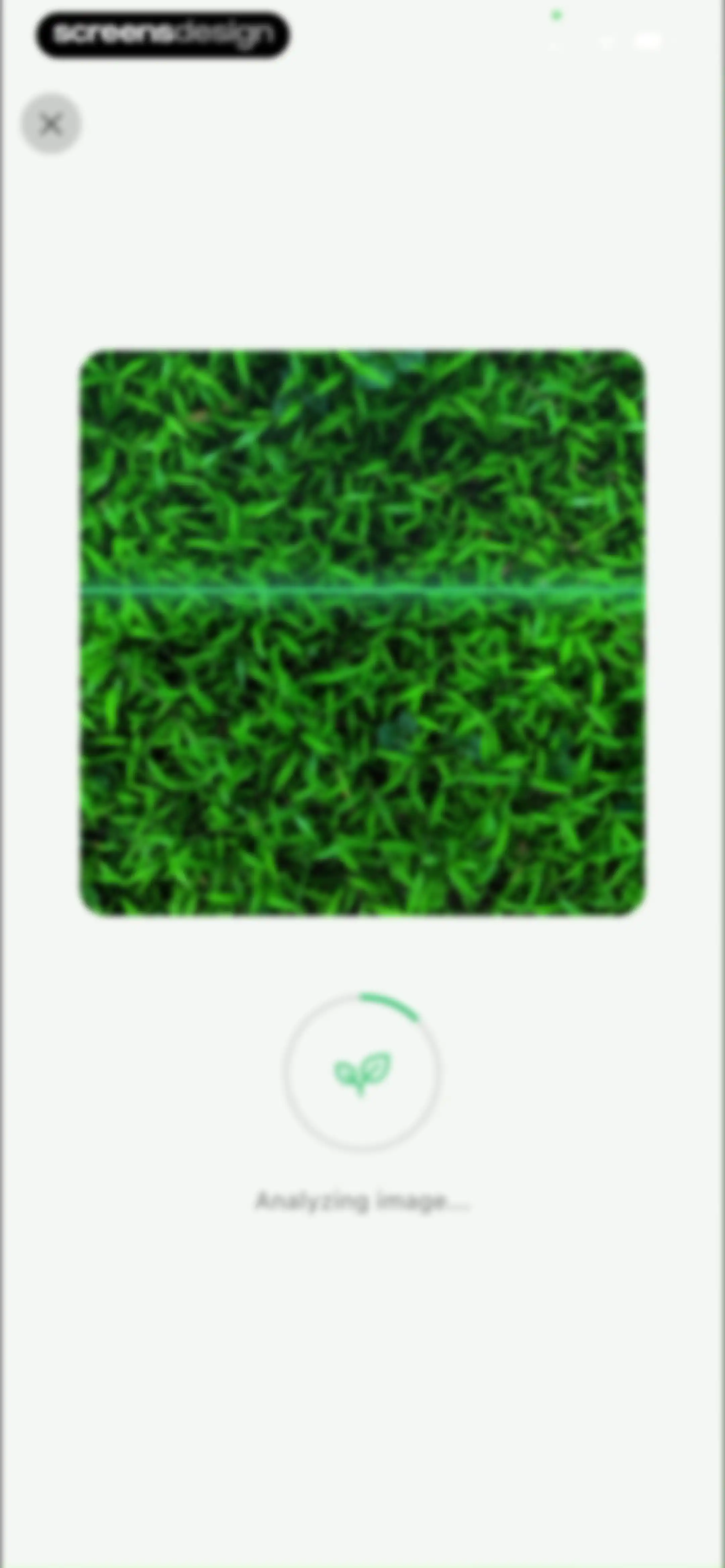Grass Identifier: AI Scan screen 47