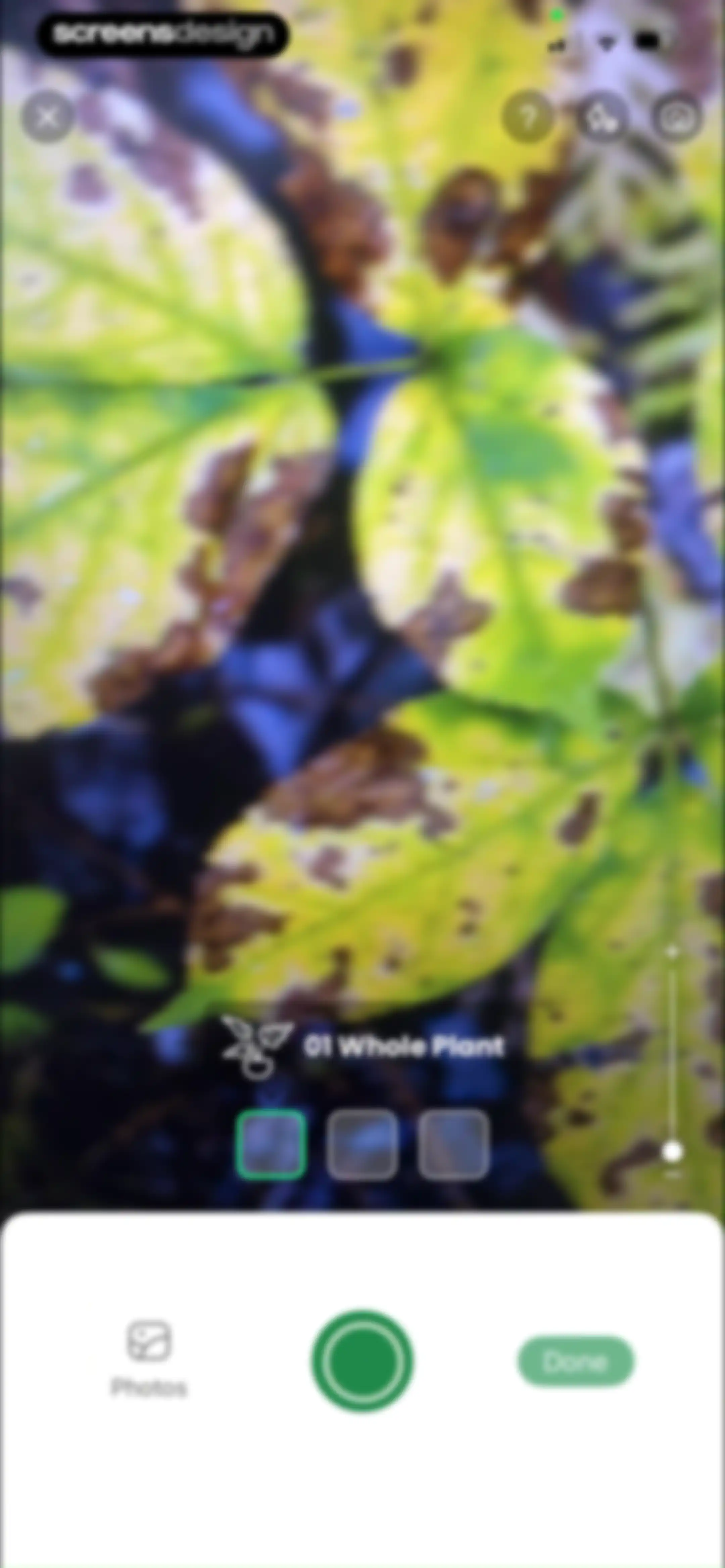 PlantAI: Identifier & Diagnose screen 73