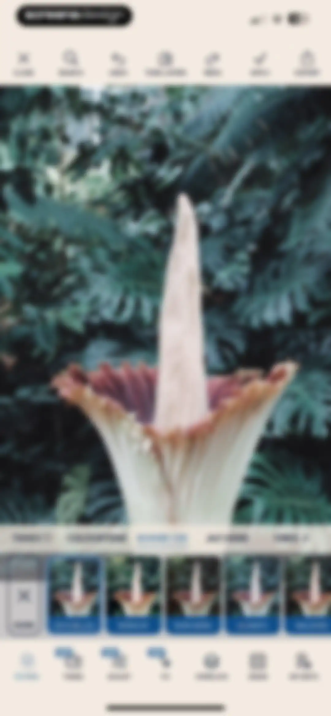 Colourtone: Photo Editor screen 27