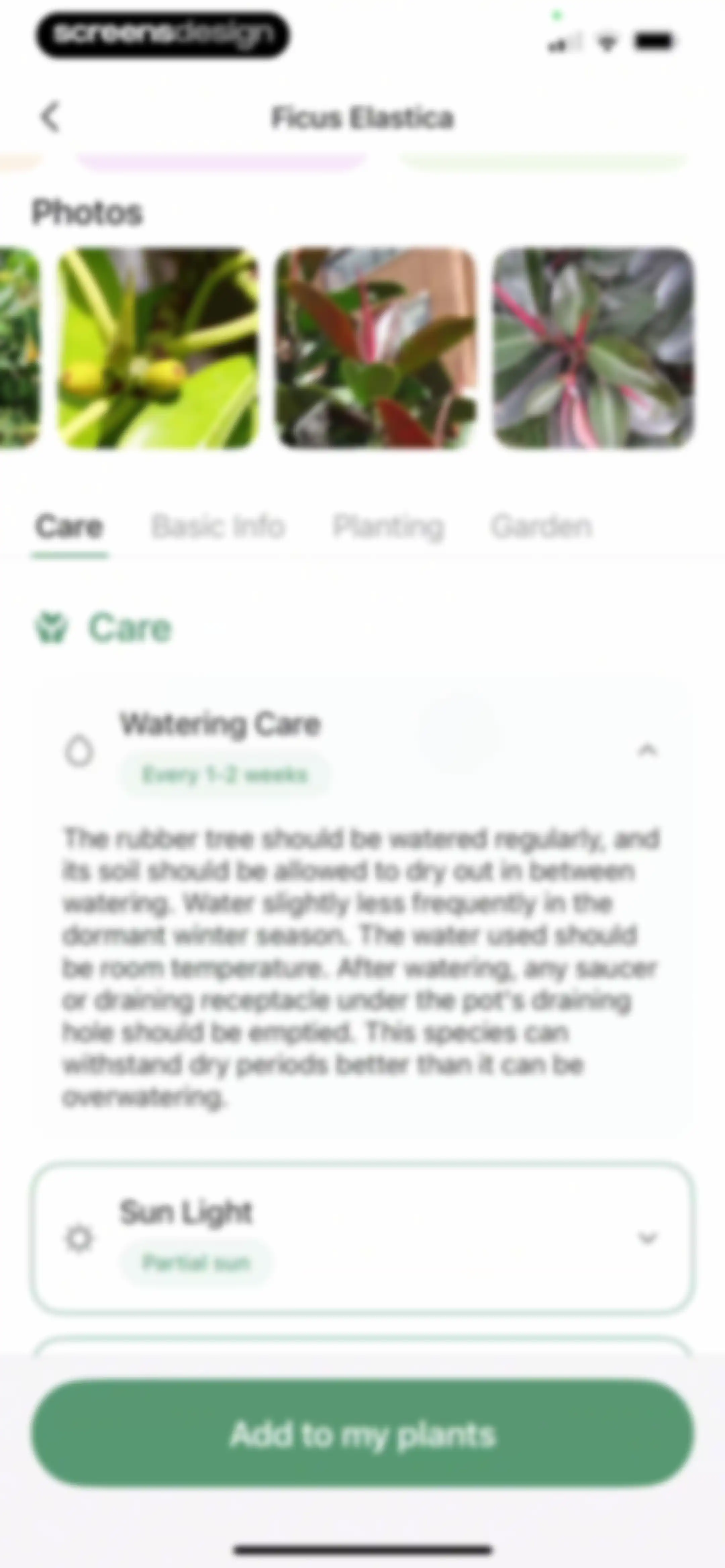 Verde Finder : identify plants screen 44