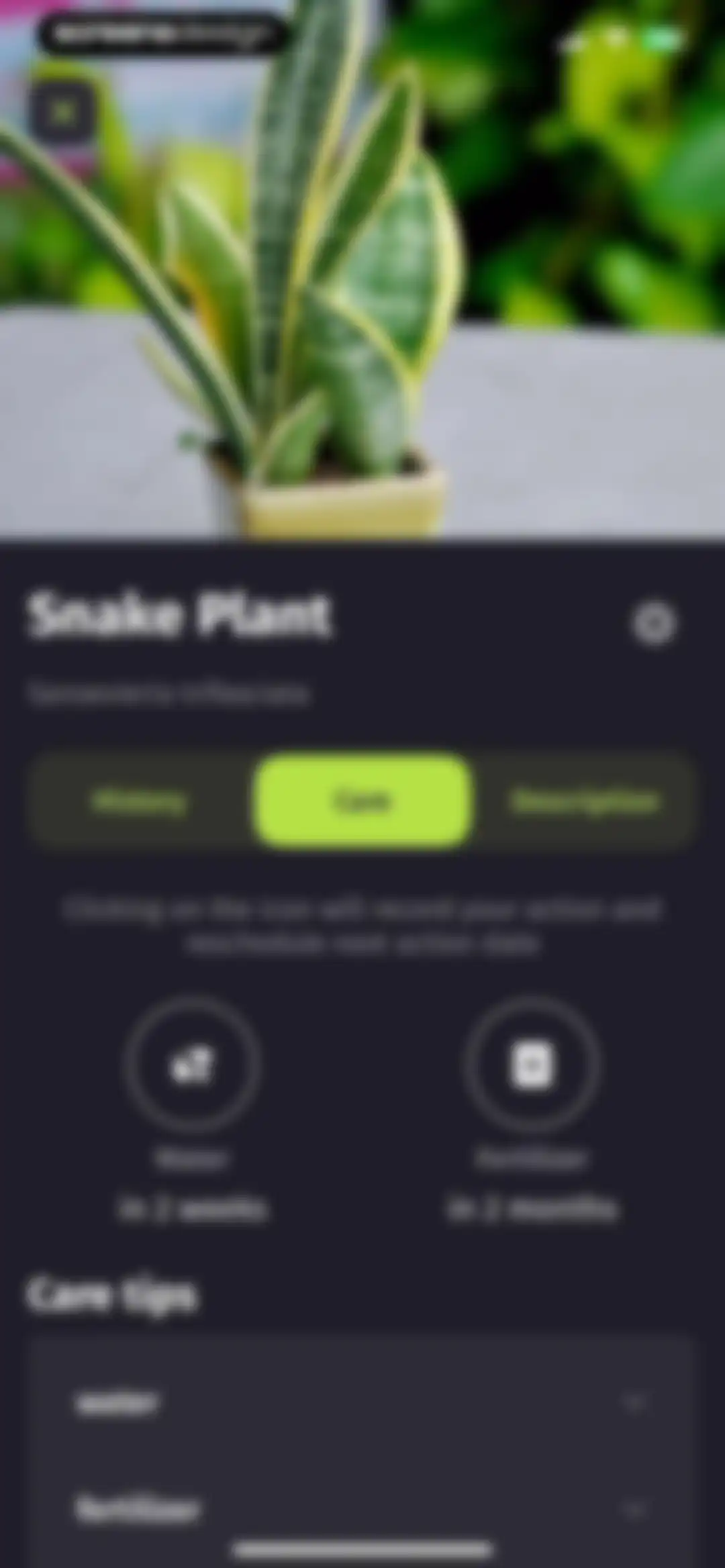 Plantion - Plant Identifier screen 14