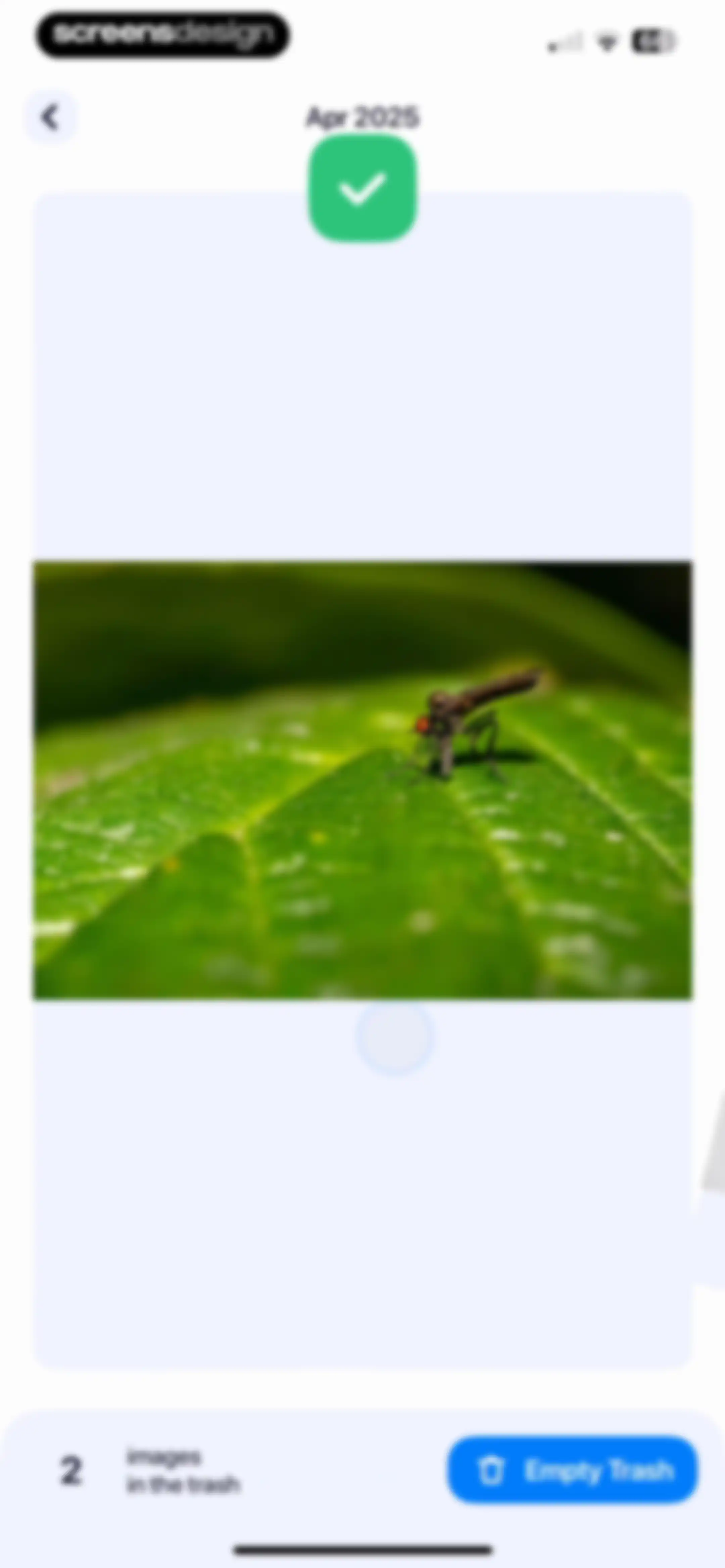 Cleanup: Phone Storage Cleaner screen 67