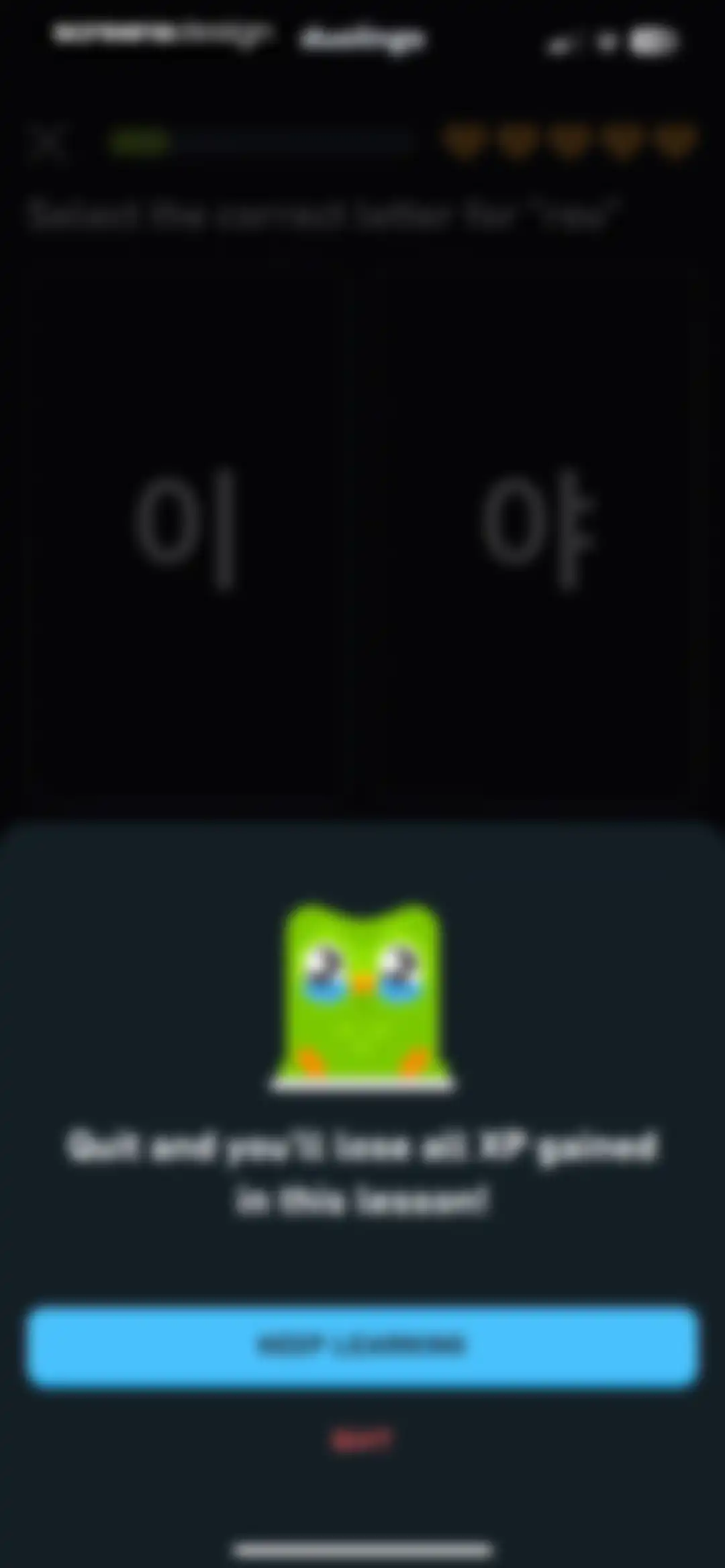 Duolingo: Language Lessons screen 84