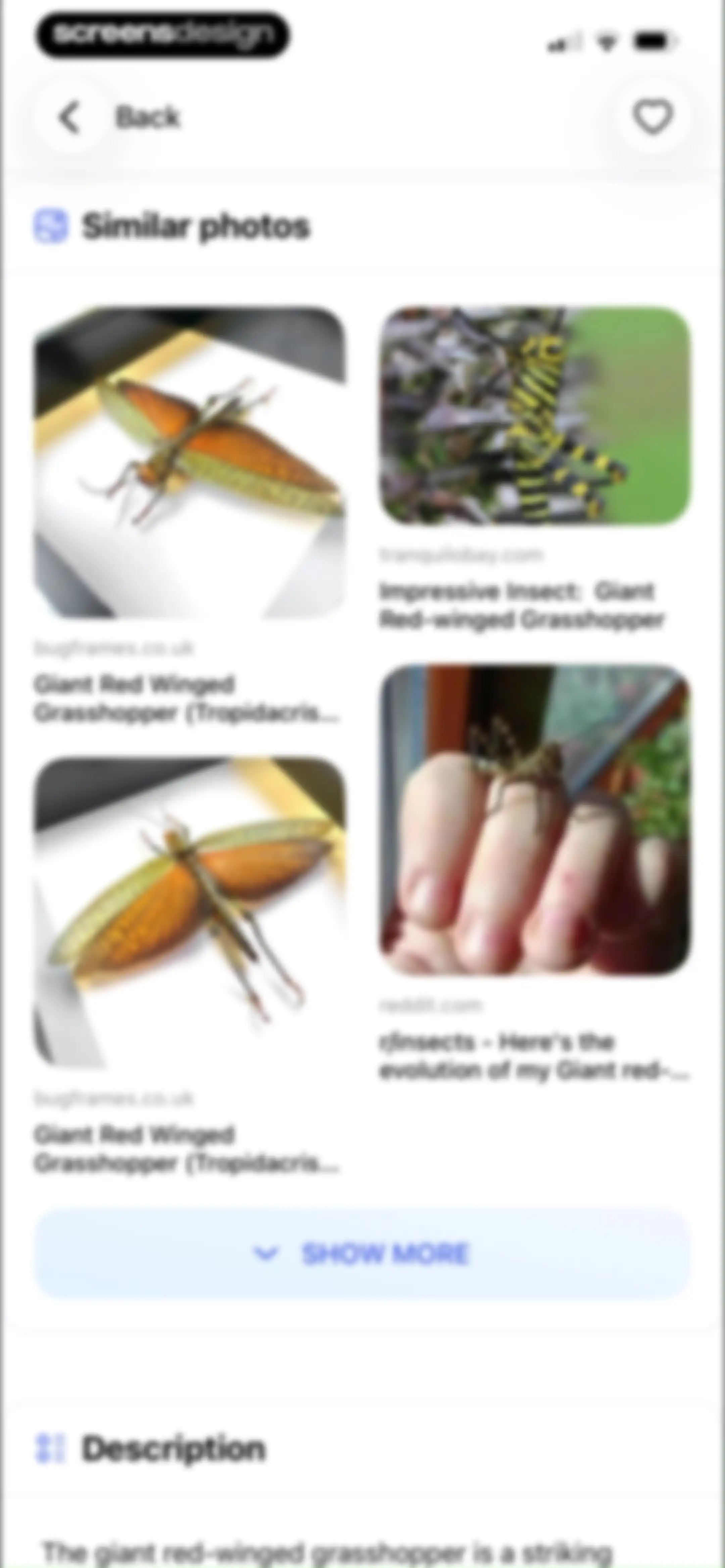 LensAI・Identifier・Image Search screen 48