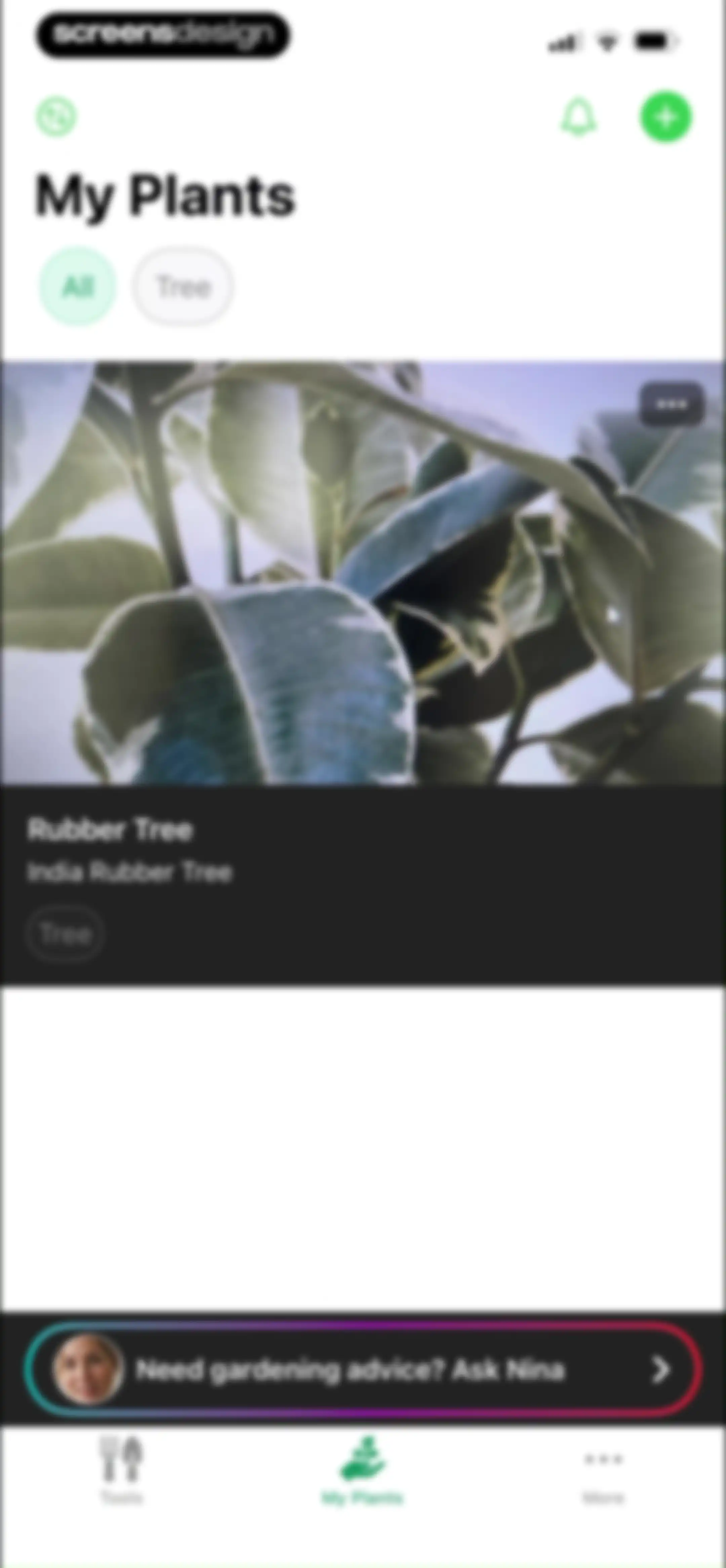Free Plant Identifier screen 43