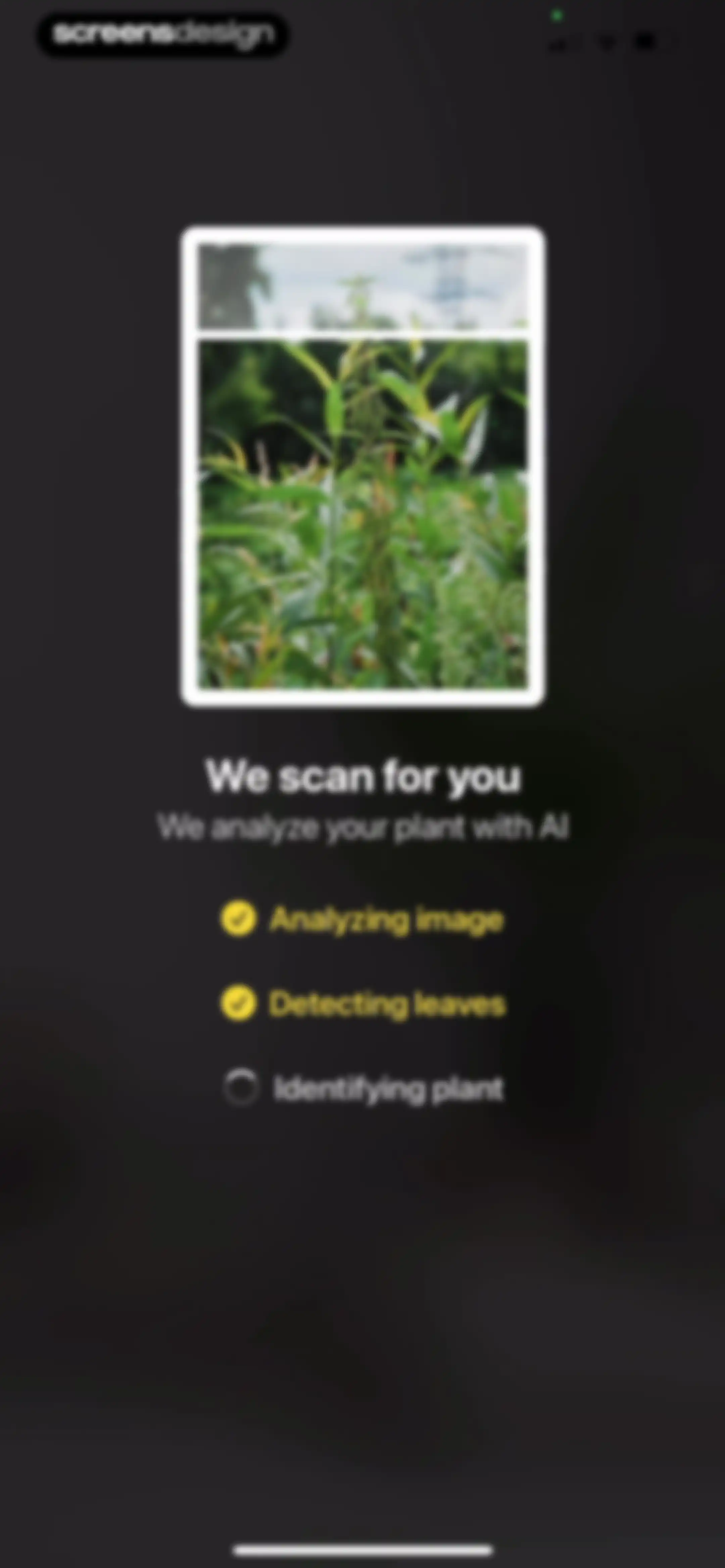 Plant App: Plant Identifier screen 78