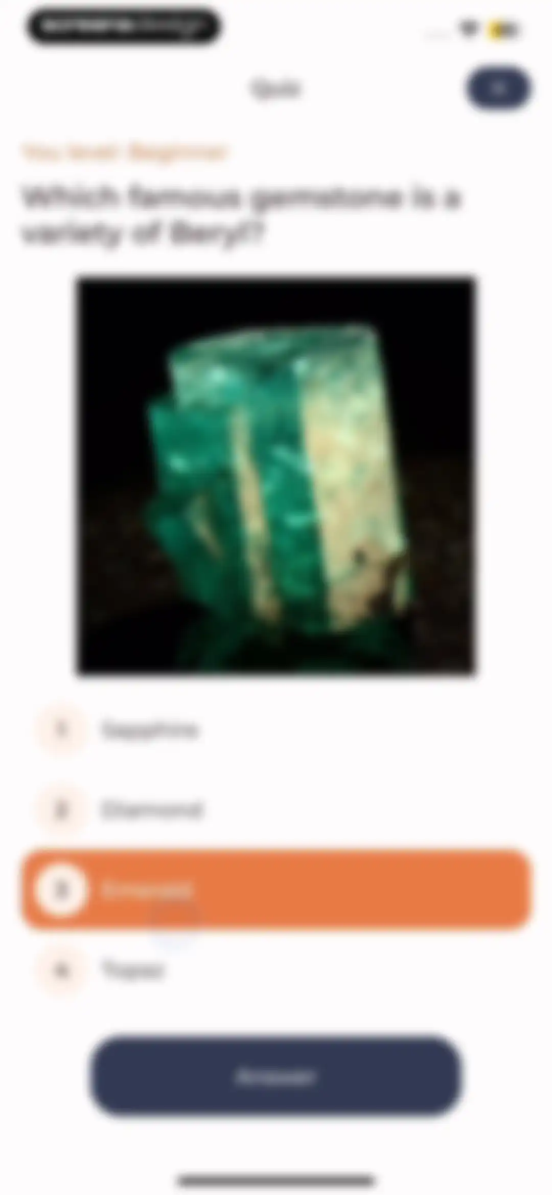 Stone Identifier: Rock Scanner screen 47