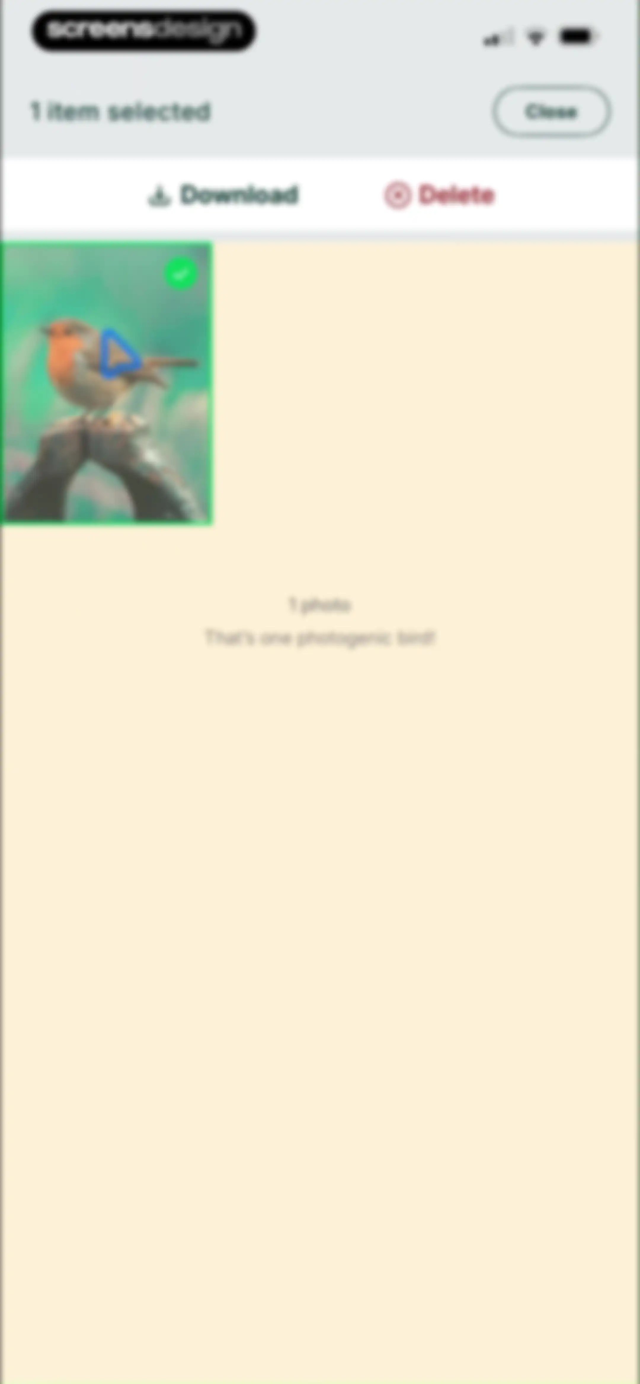 Birdbuddy: ID & Collect Birds screen 80