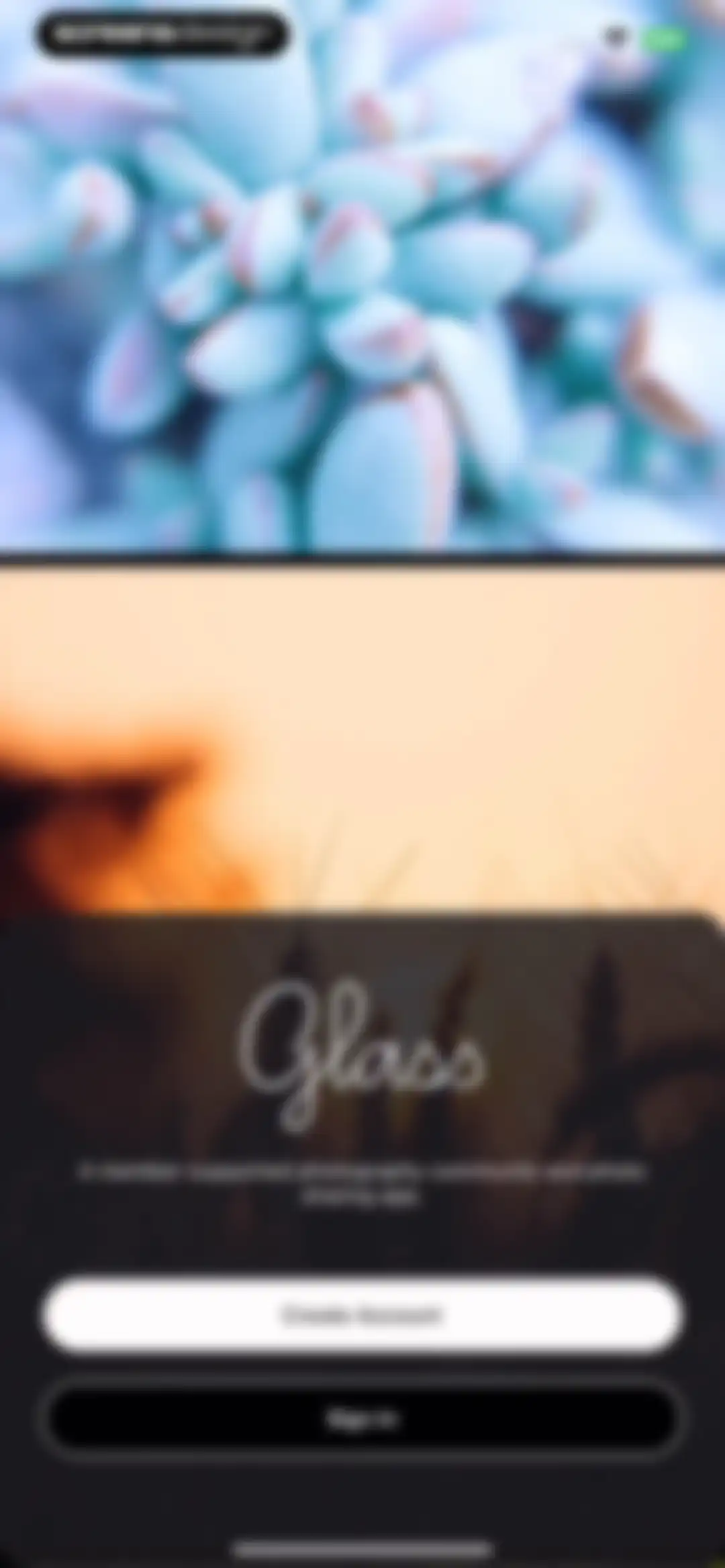 Glass — Photography Community screen 2