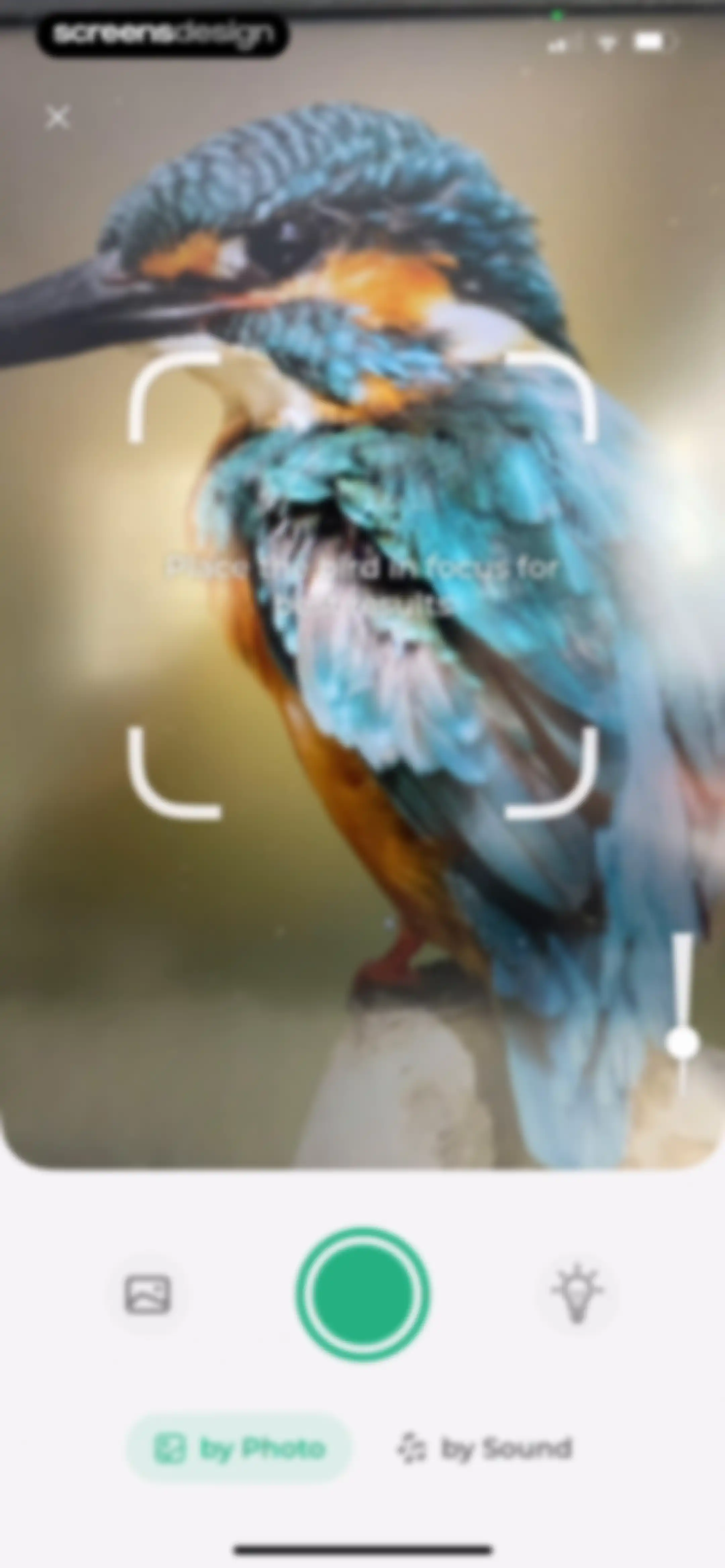 Bird Identifier: BirdScope screen 17