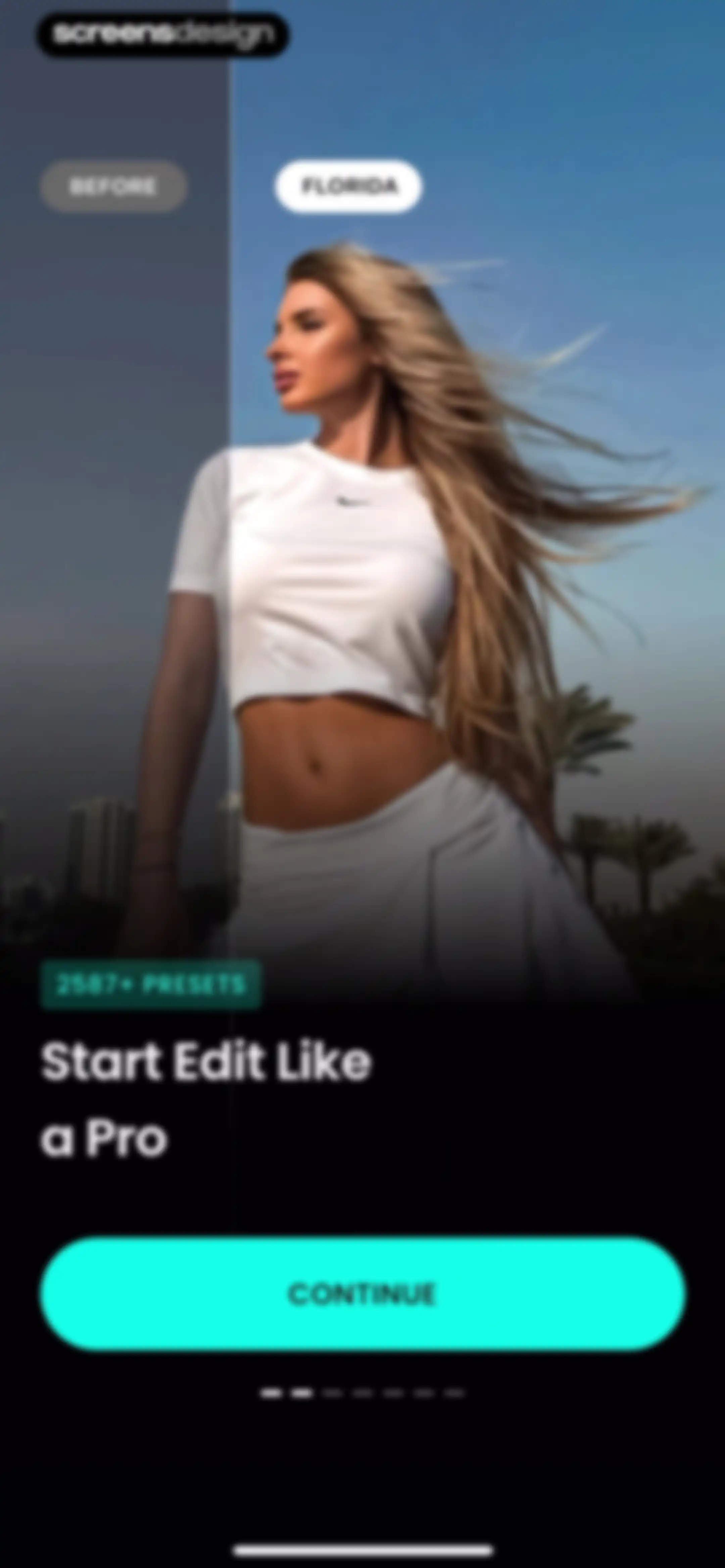 Presets for Lightroom - FLTR screen 3