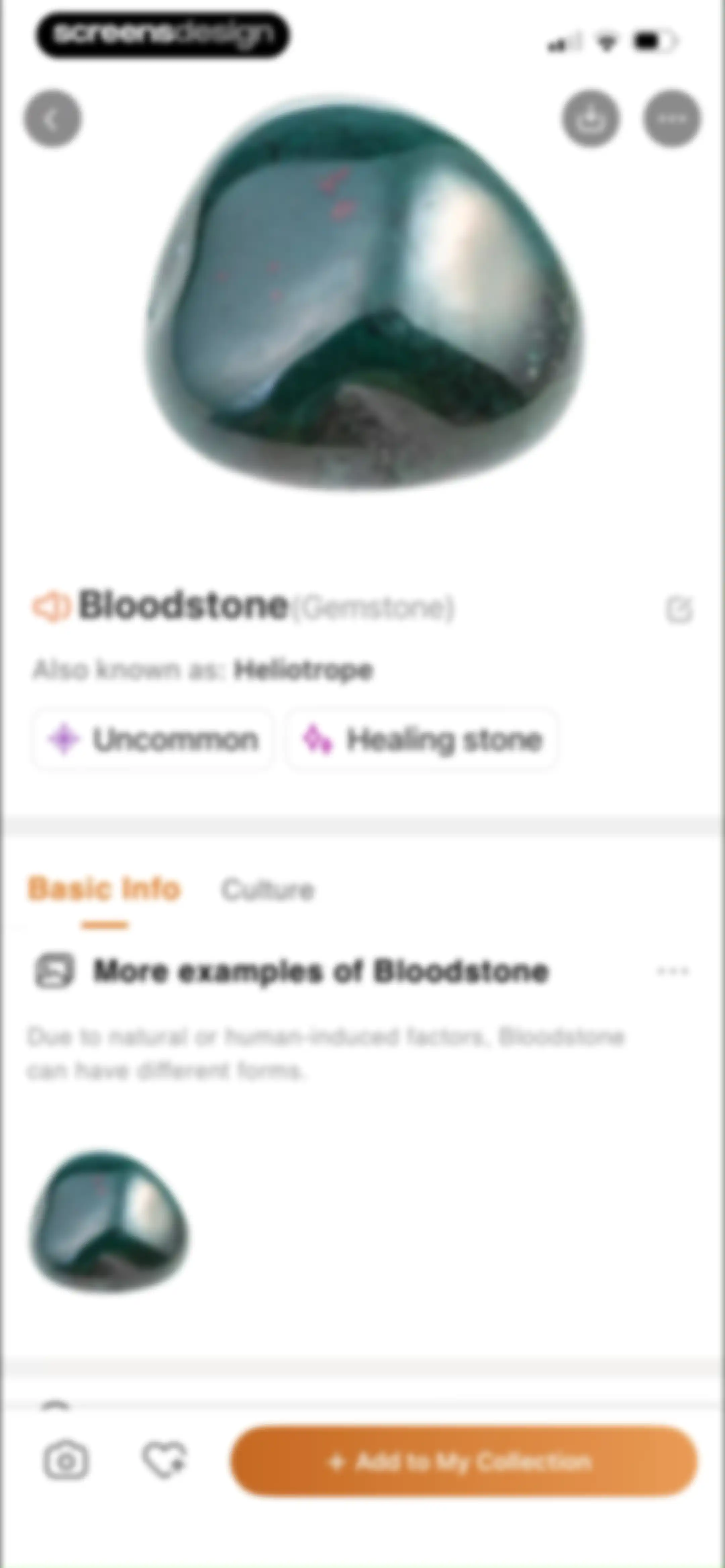 Rock Identifier: Stone ID screen 93