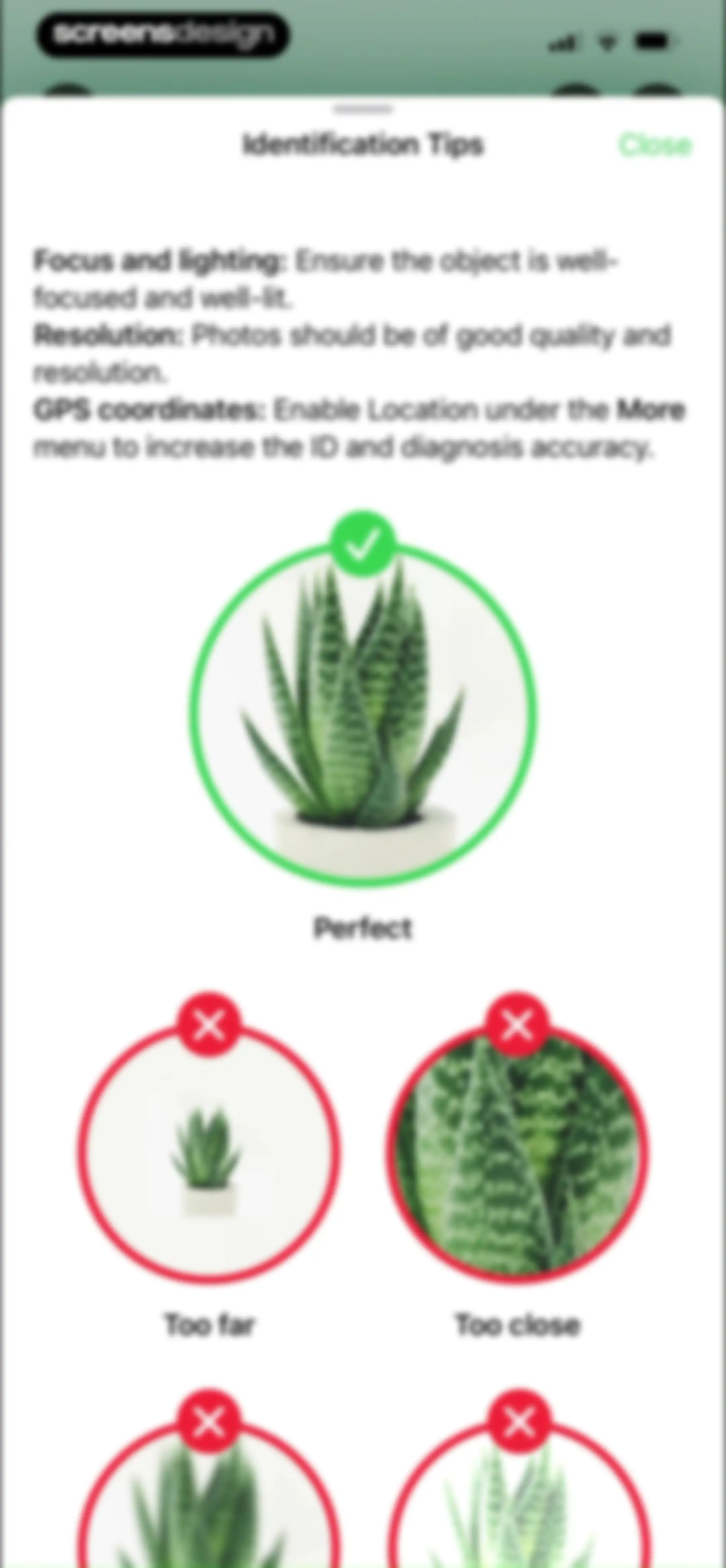 Free Plant Identifier screen 26