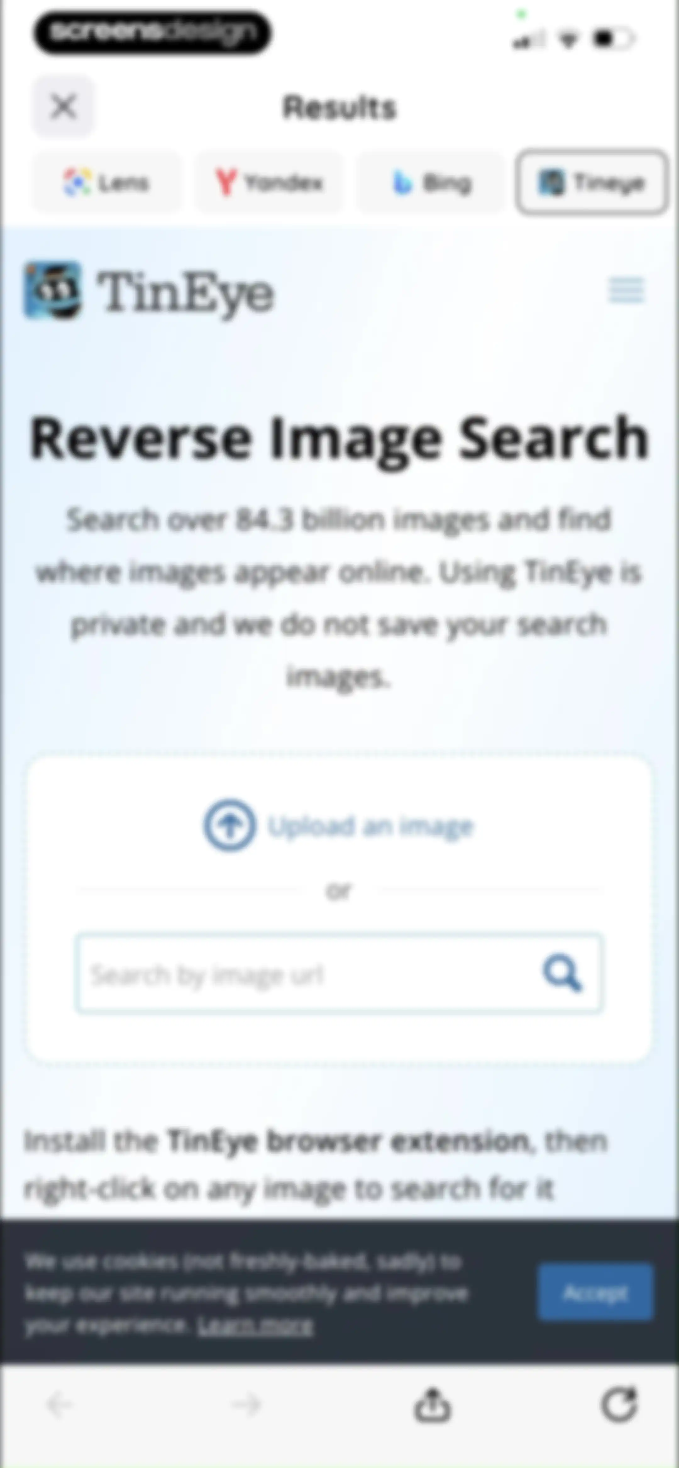 Lens: Translate & Image Search screen 45
