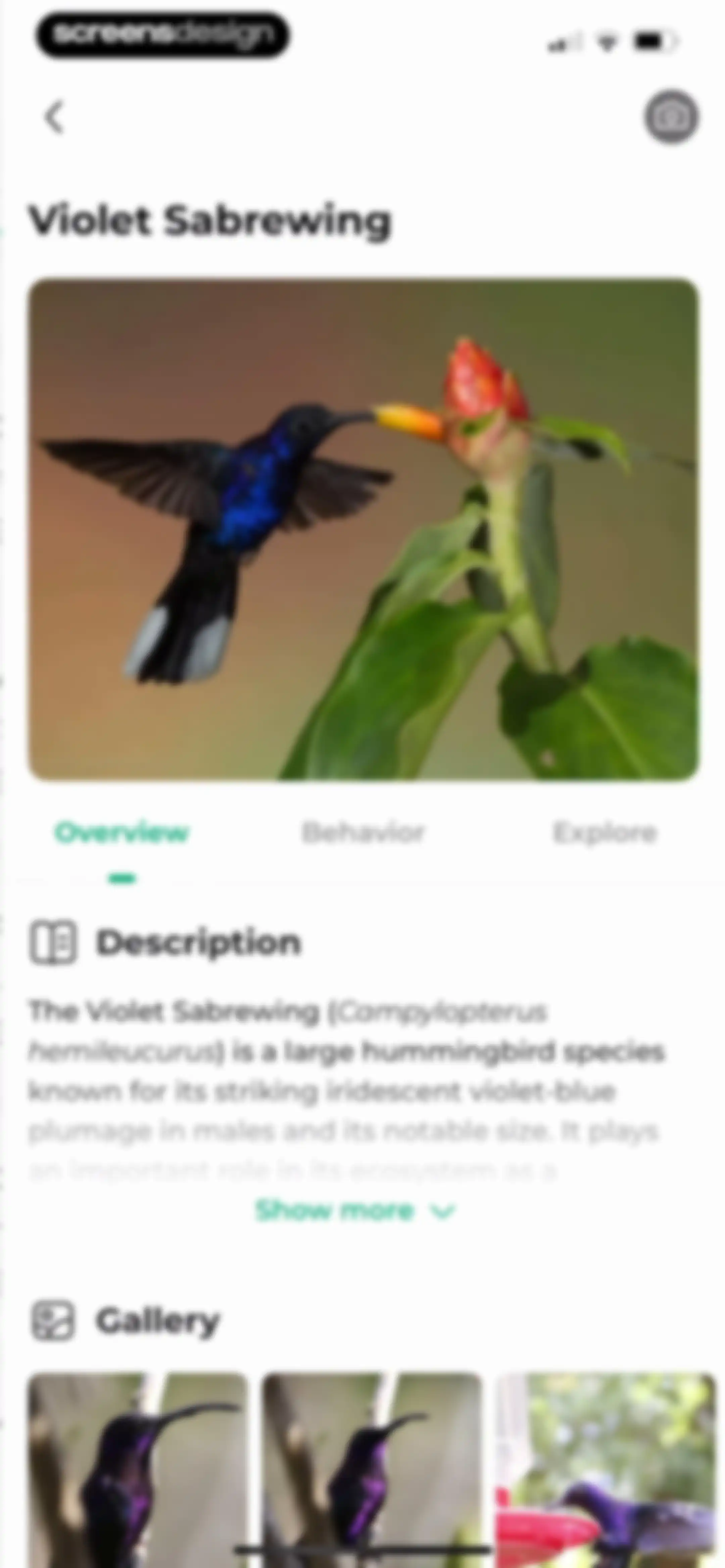 Bird Identifier: BirdScope screen 68