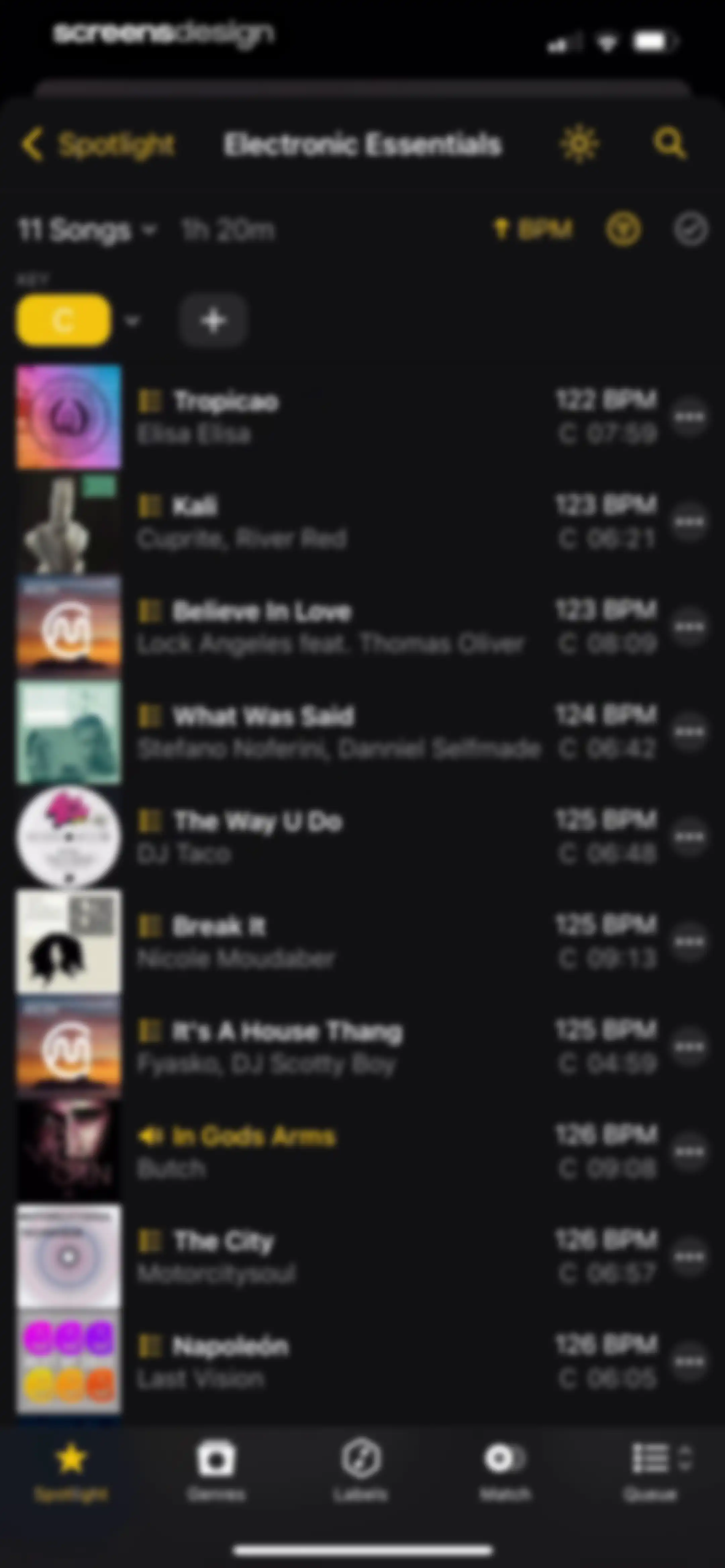 djay - DJ App & AI Mixer screen 24